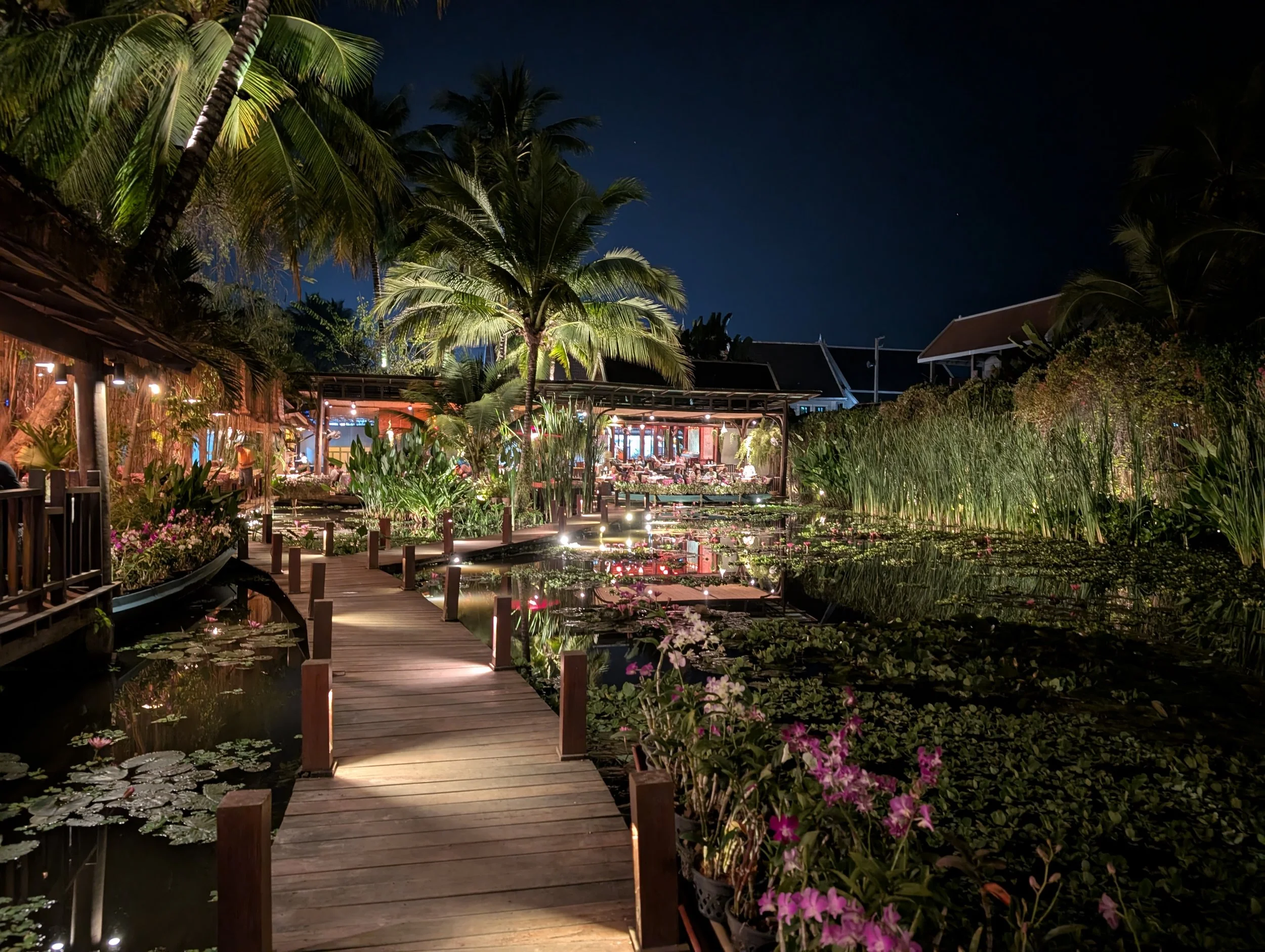 Manda de Laos at night