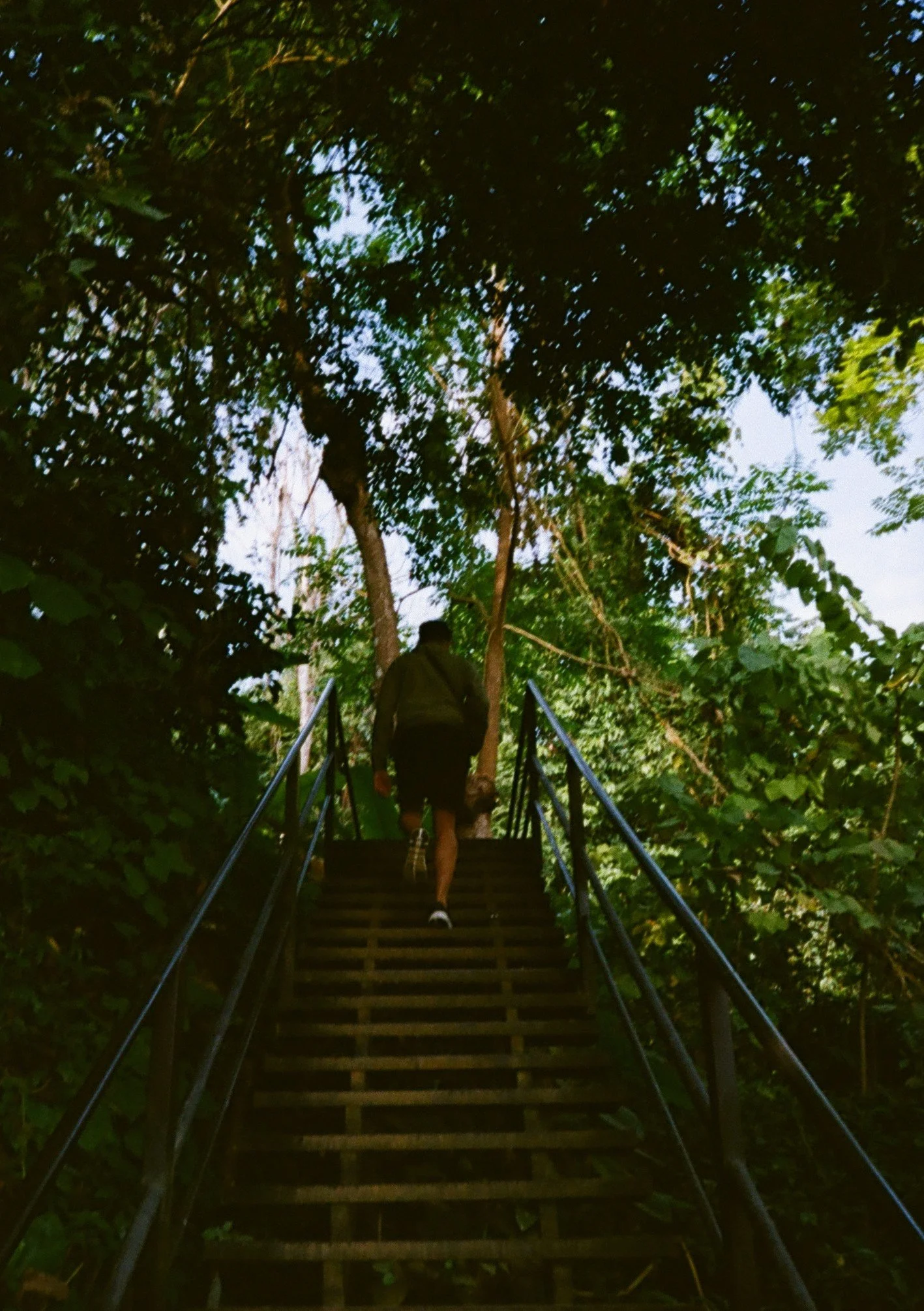 Luang Prabang Jungle Path