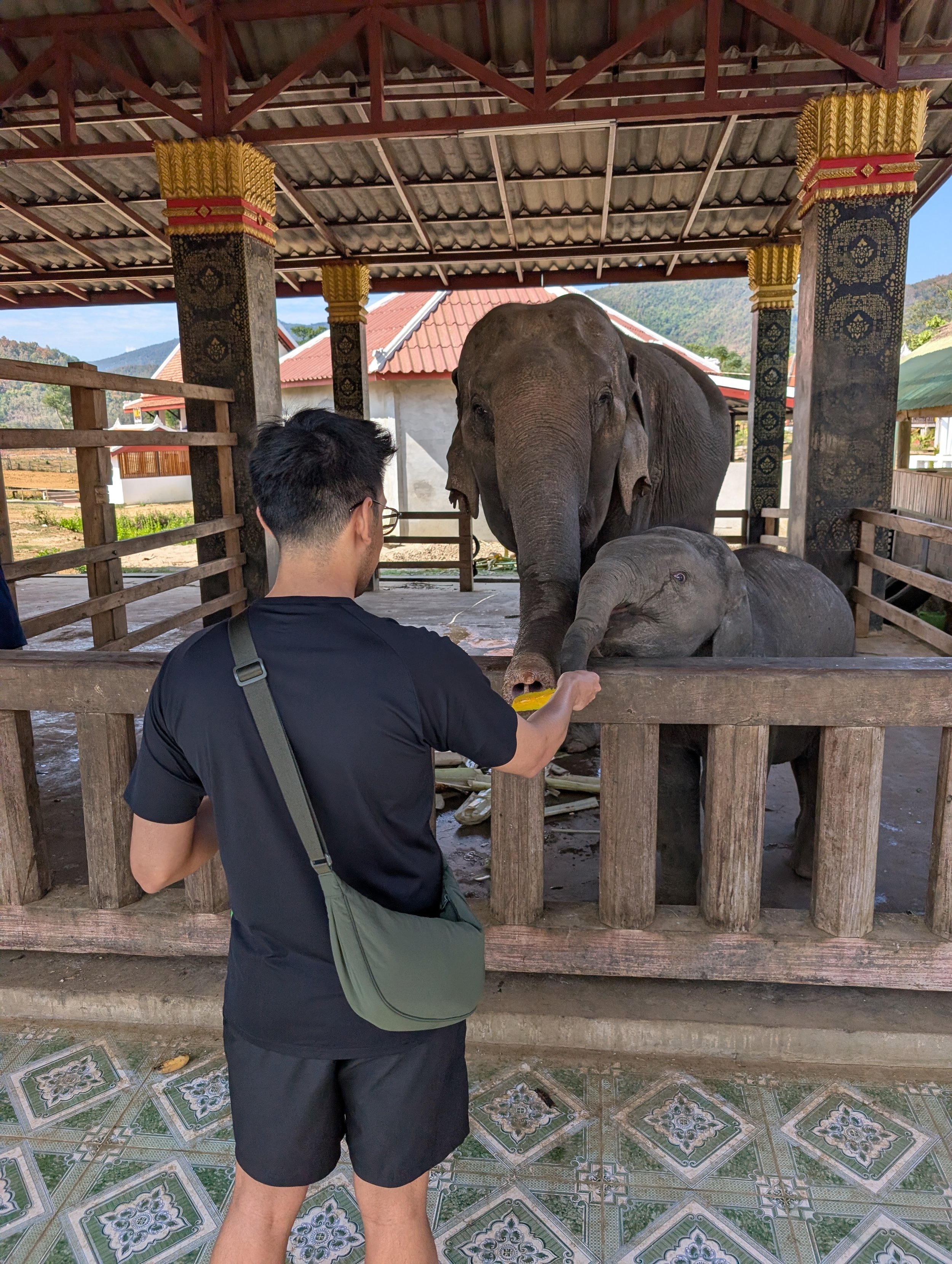 Luang Prabang Elephants Camp