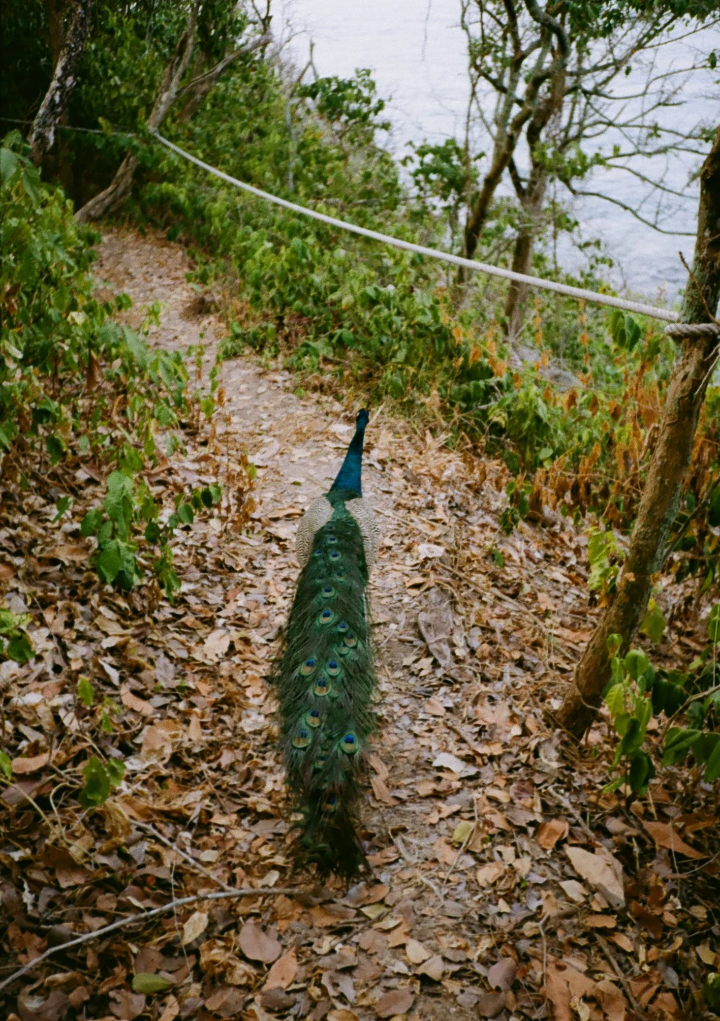 Koh Munnork_103.jpg