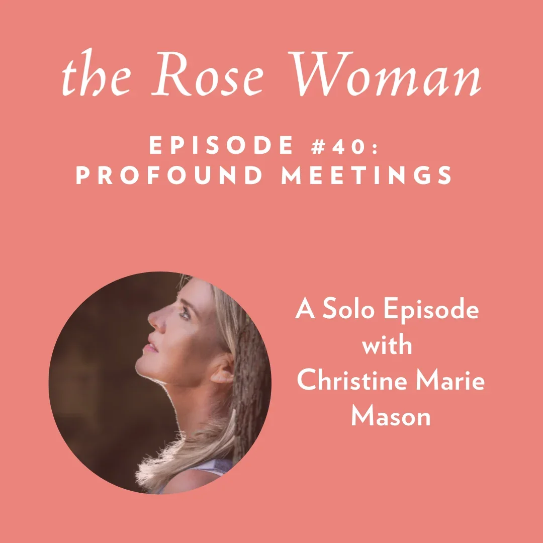 Profound Meetings