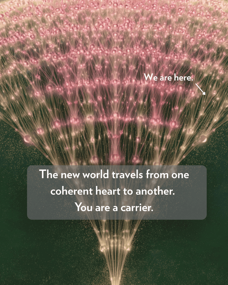 Gratitude, Islands of coherence, and the path ahead in 2027