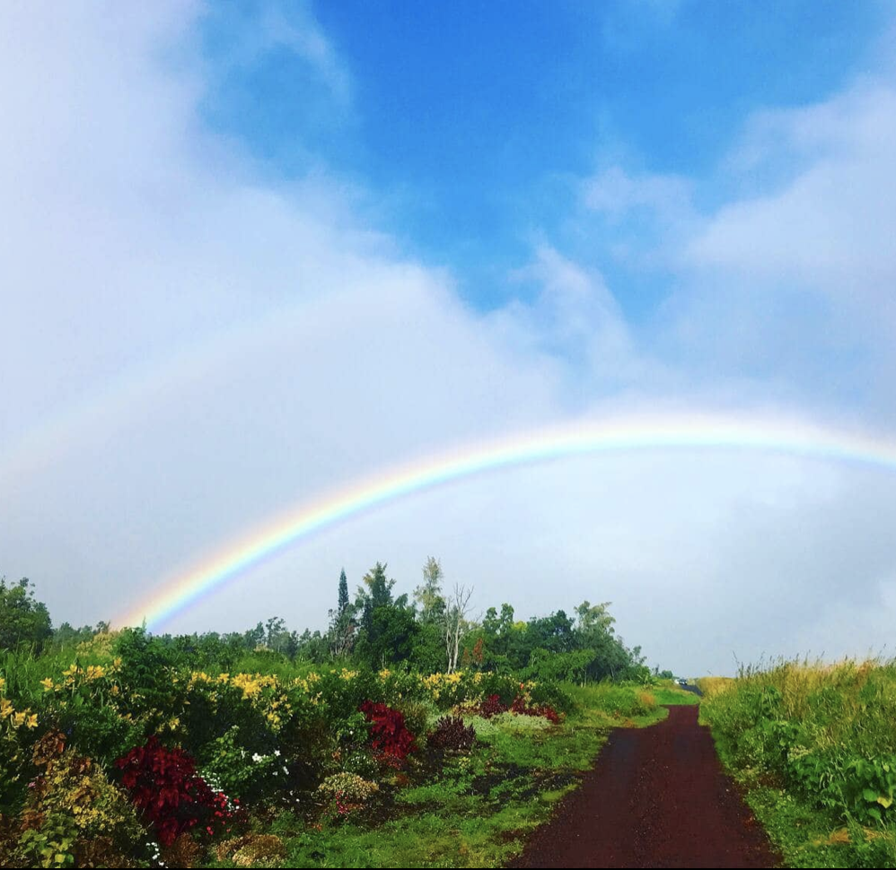 13Copy of Rainbows.png