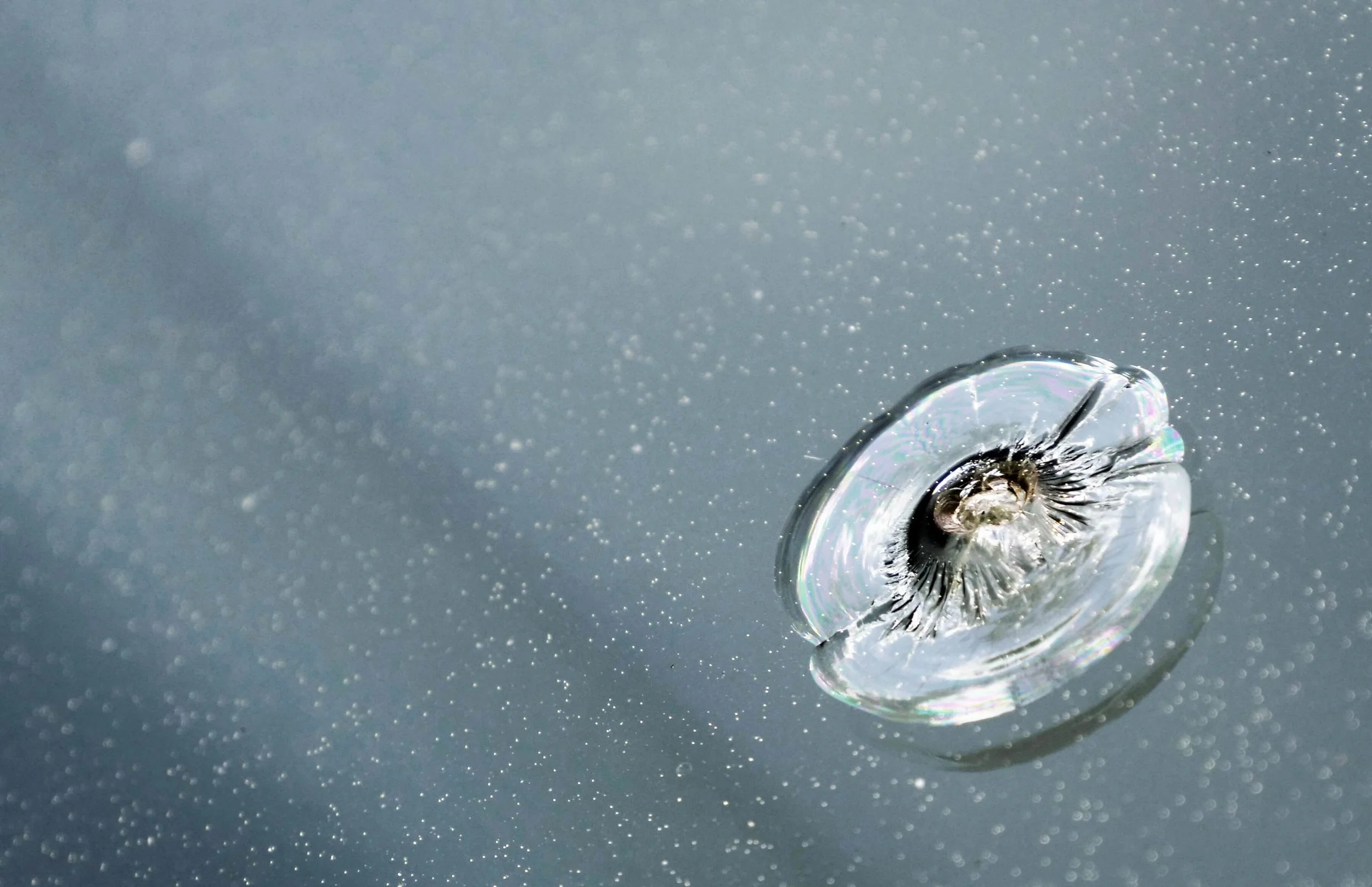 Got Rock Chips on Your Rivian? We’ve Got You Covered!