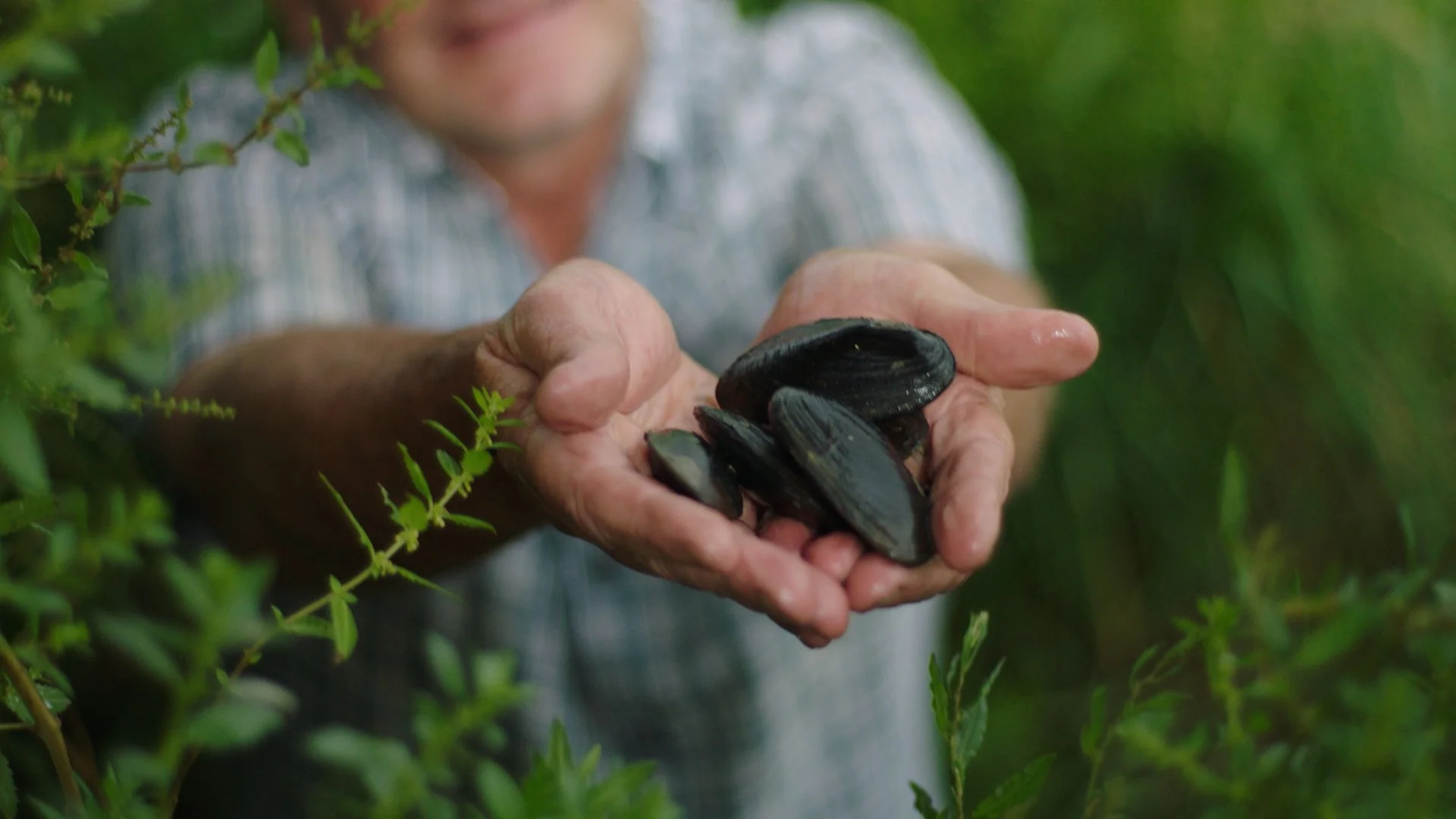 default_1.34.1 2.JPG