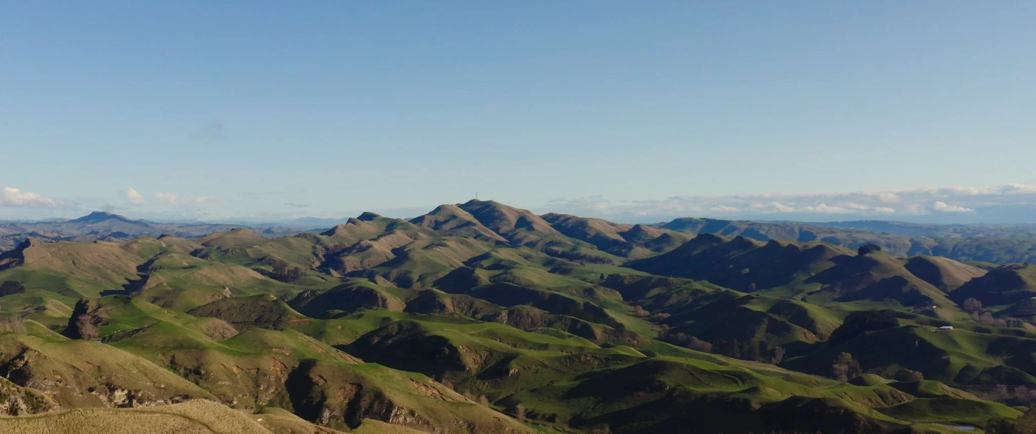 default_1.80.1 (1).JPG