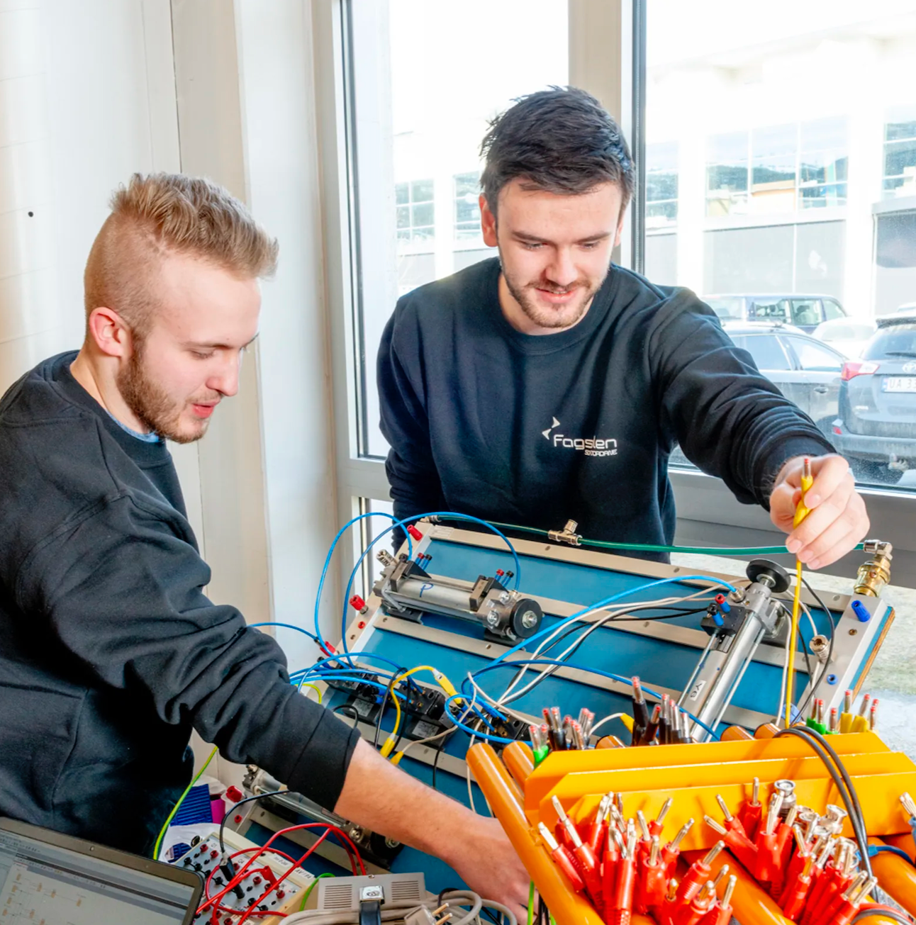 Desentralisert elkraft