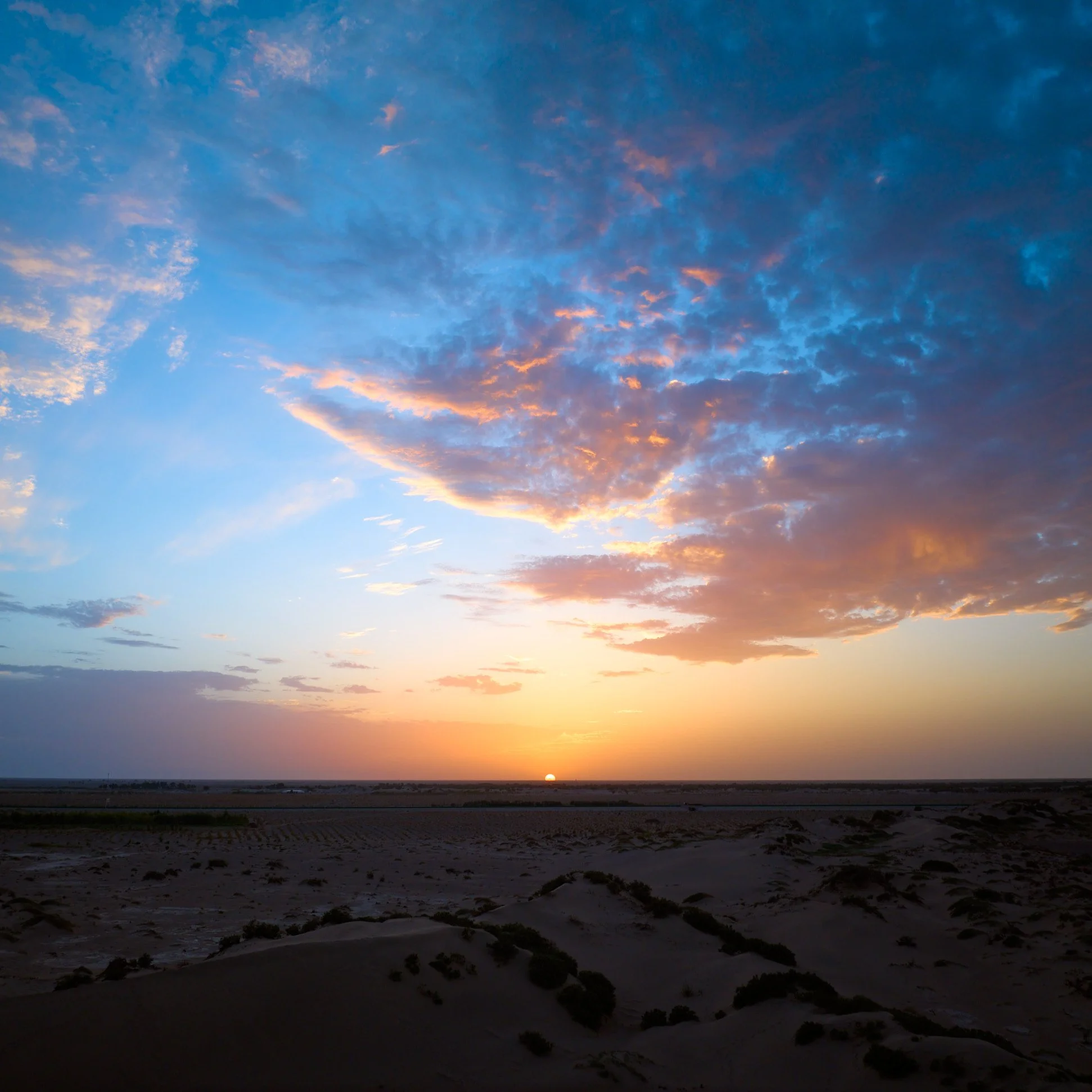 DJI_0105.jpg