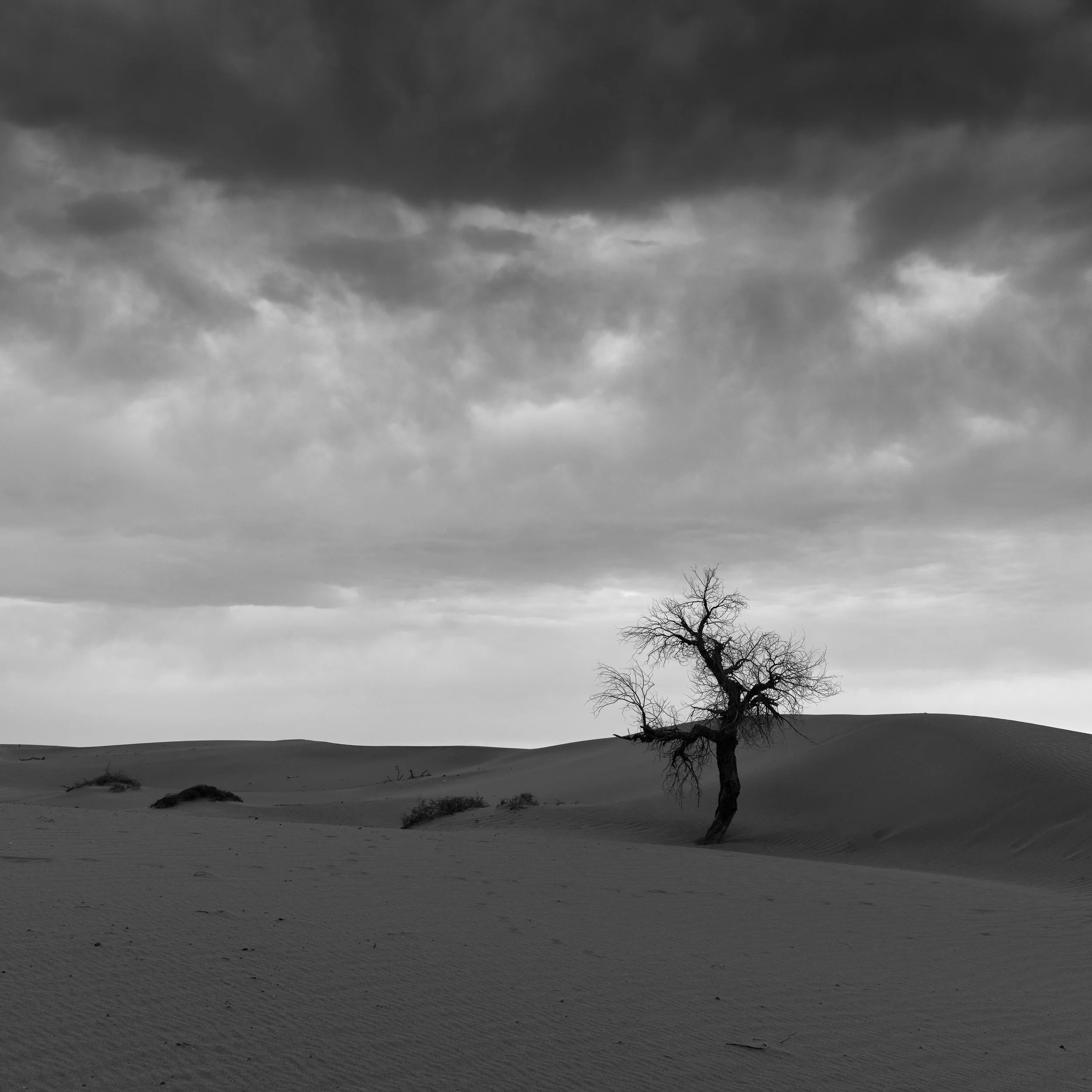 _DSF0059.jpg
