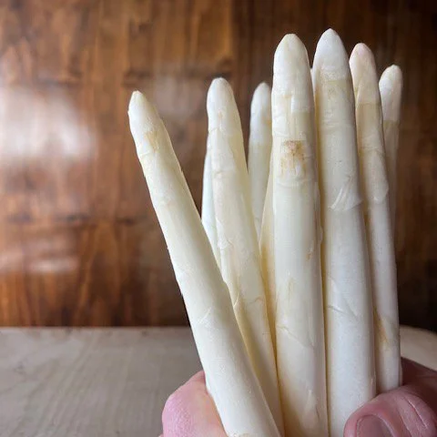 Tasmanian White Asparagus