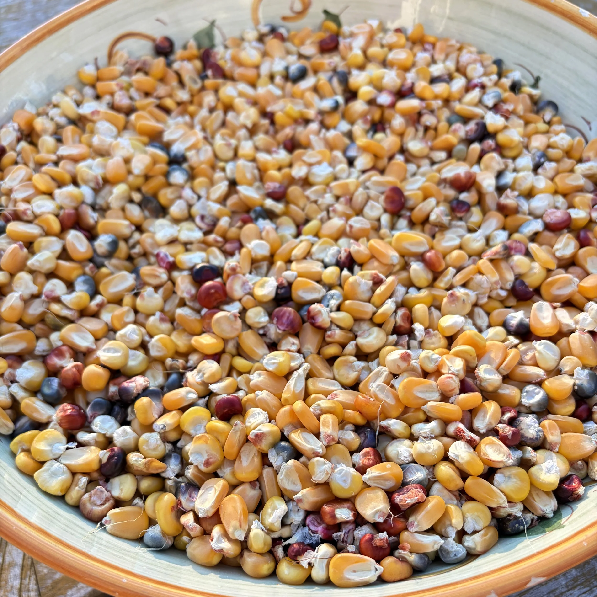 CornBowl.jpg