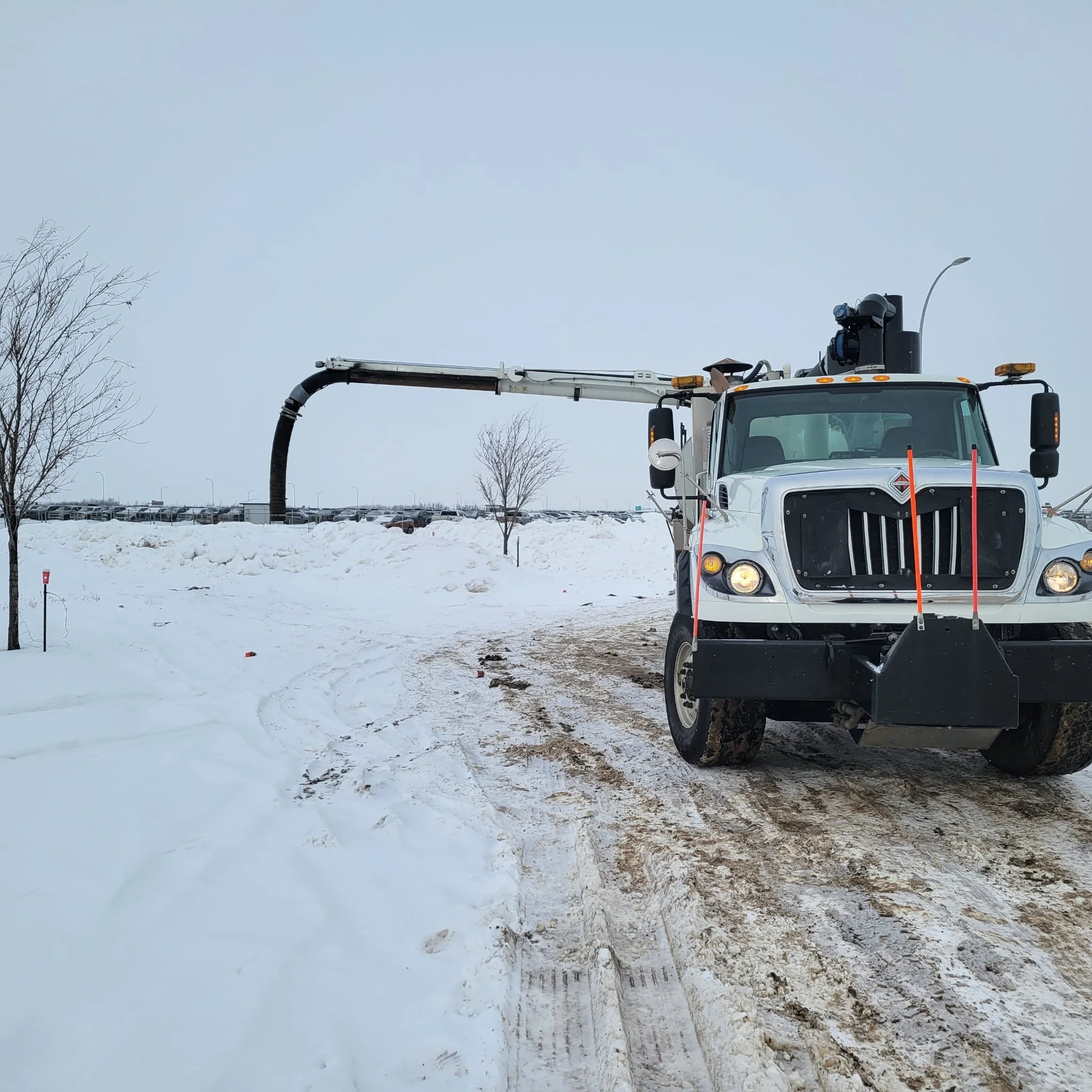 WhatsApp Image 2026-01-15 at 10.00.48 AM.jpeg