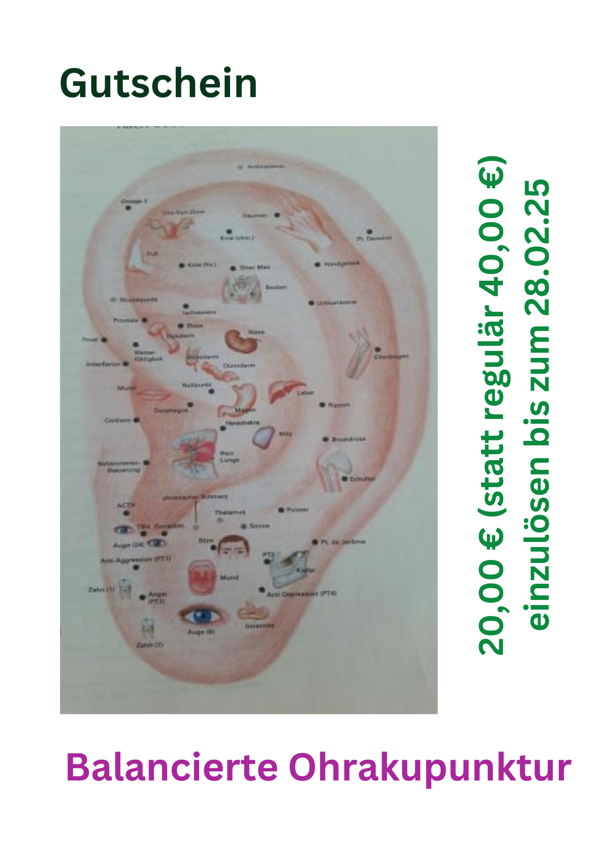 Gutschein Ohrakupunktur
