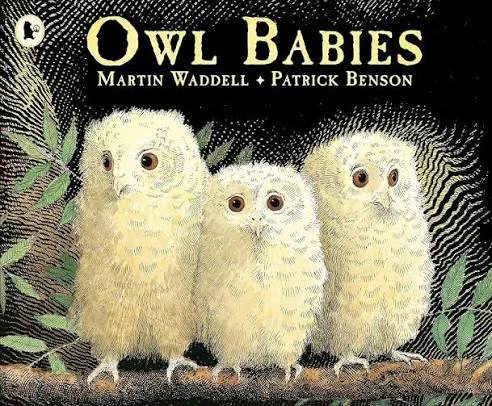Nursery: Owl Babies