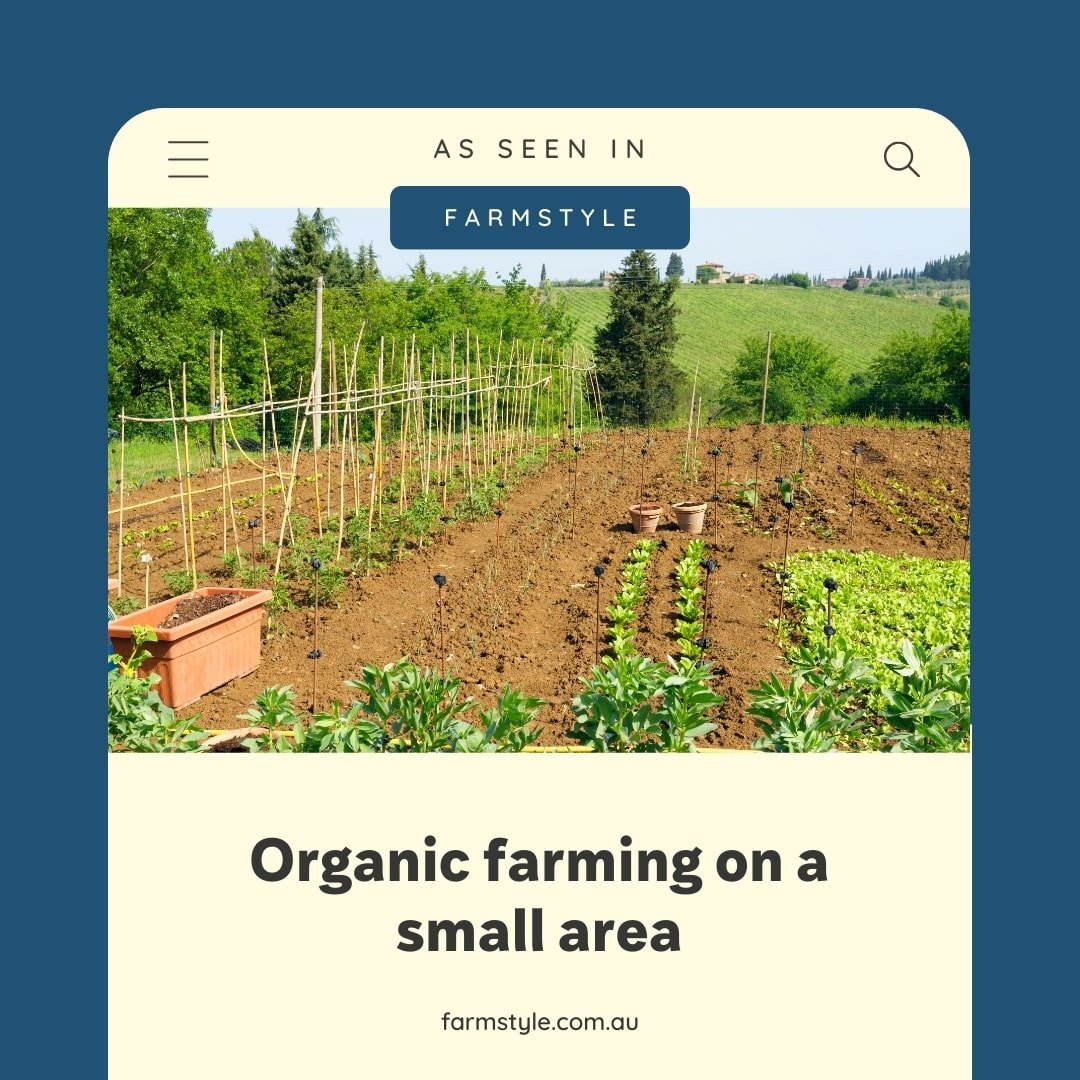small-scale-organic-farming.jpg