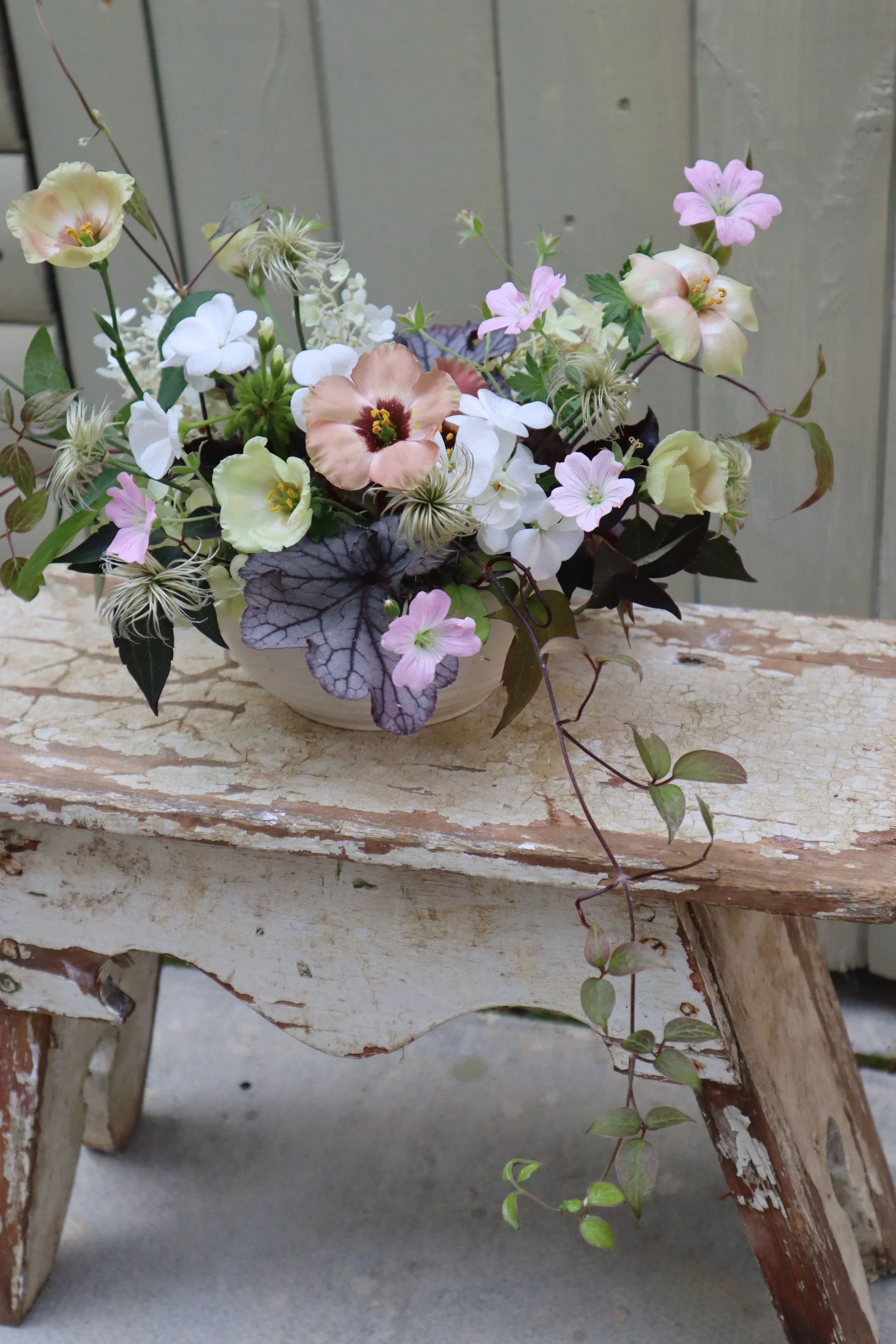 AfterlightImage (17).jpeg