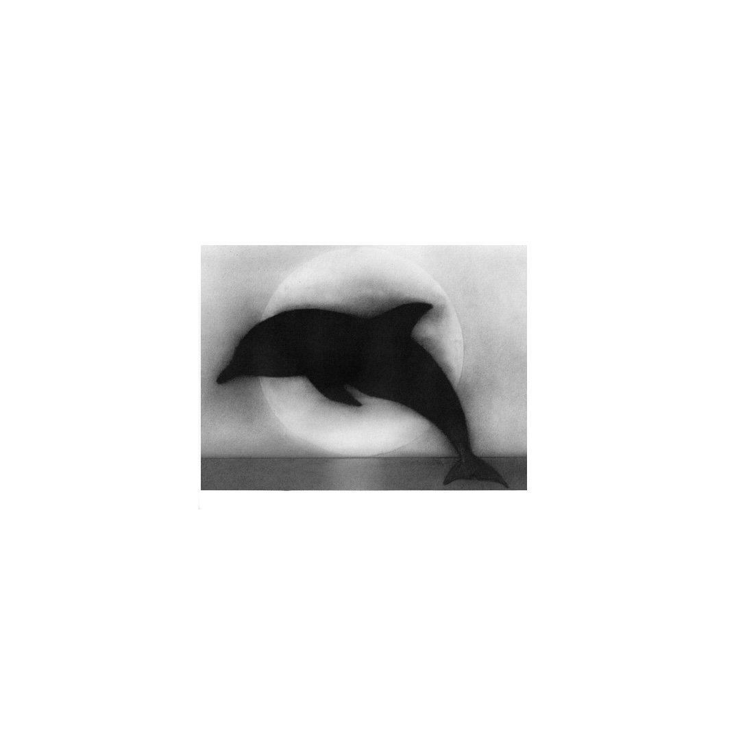 Dolphin