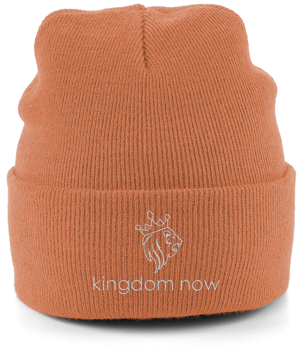 pumpkin beanie.png