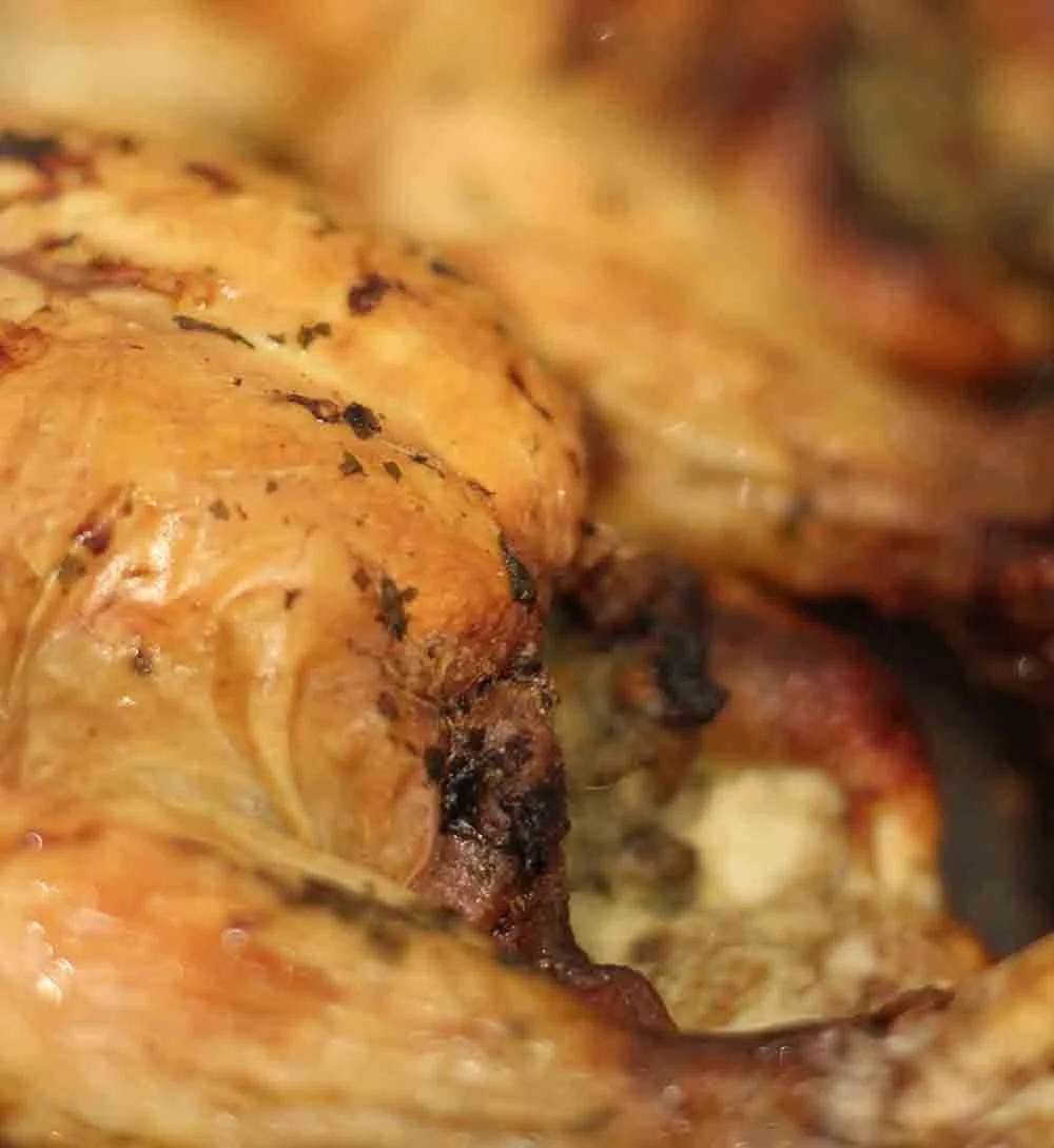 Roast chicken at an Everhot demonstration in Cornwall
