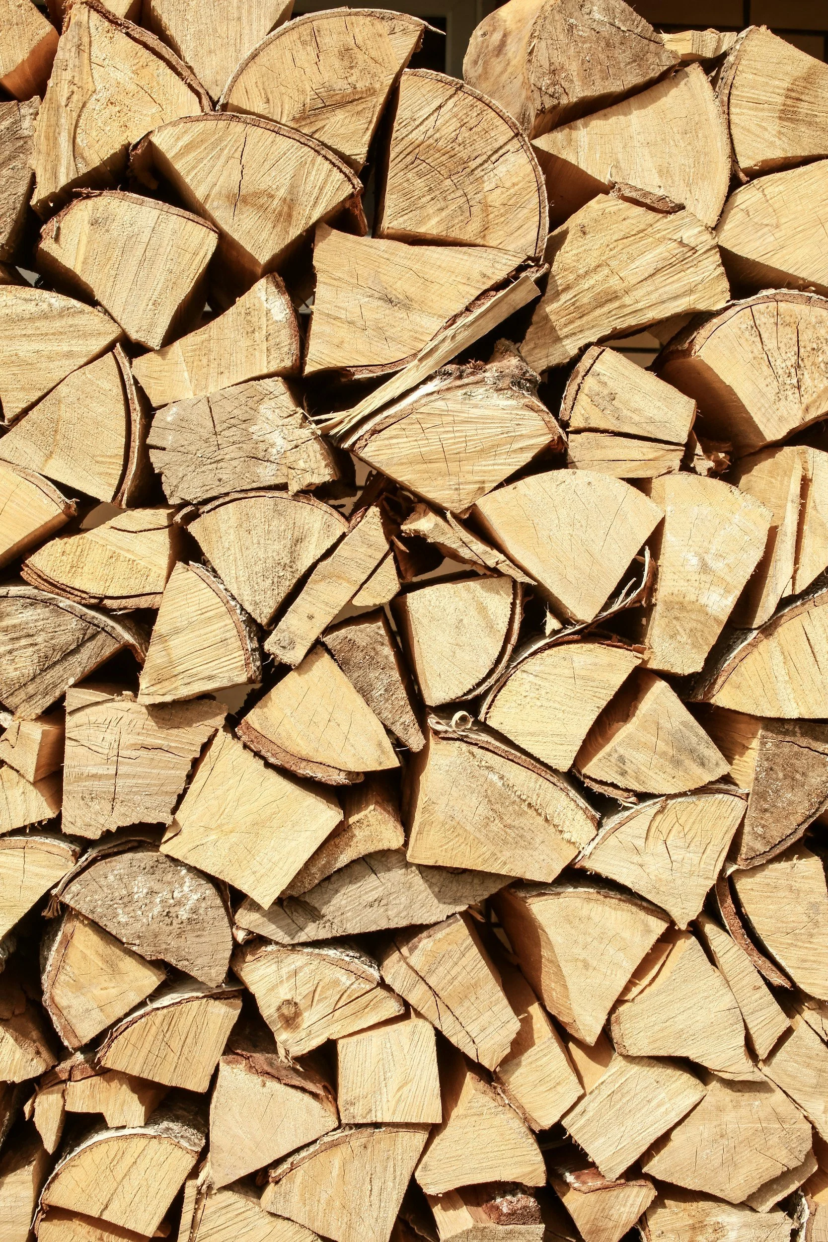 Kiln Dired Logs