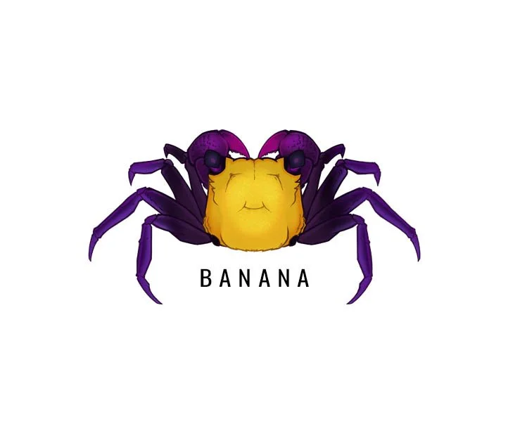 GEOSESARMA SP. BANANA (LEMON VAMPIRE CRAB)