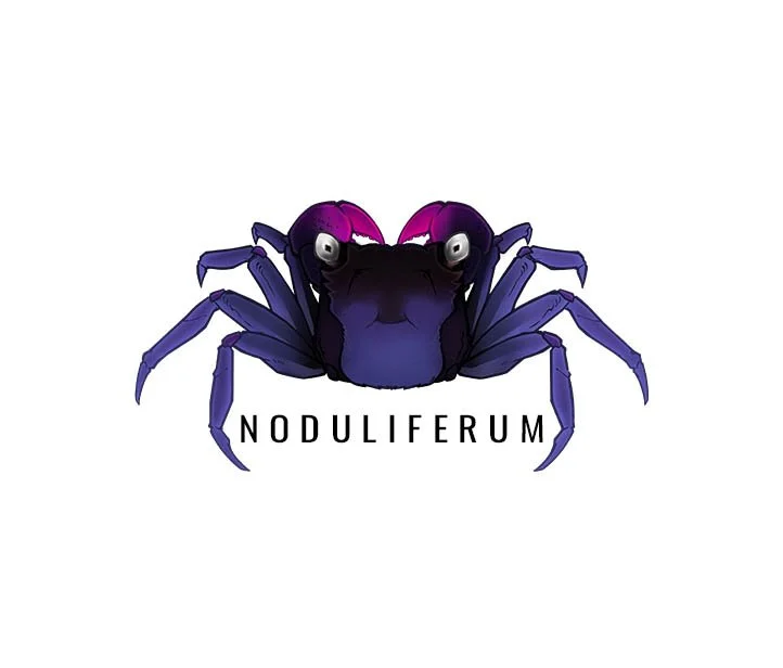 GEOSESARMA NODULIFERUM (Geosesarma Bogorensis)