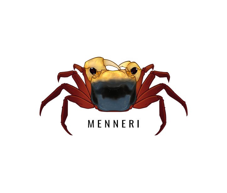 LEPIDOTHELPHUSA MENNERI CARE GUIDE - BORNEO CRAB CARE