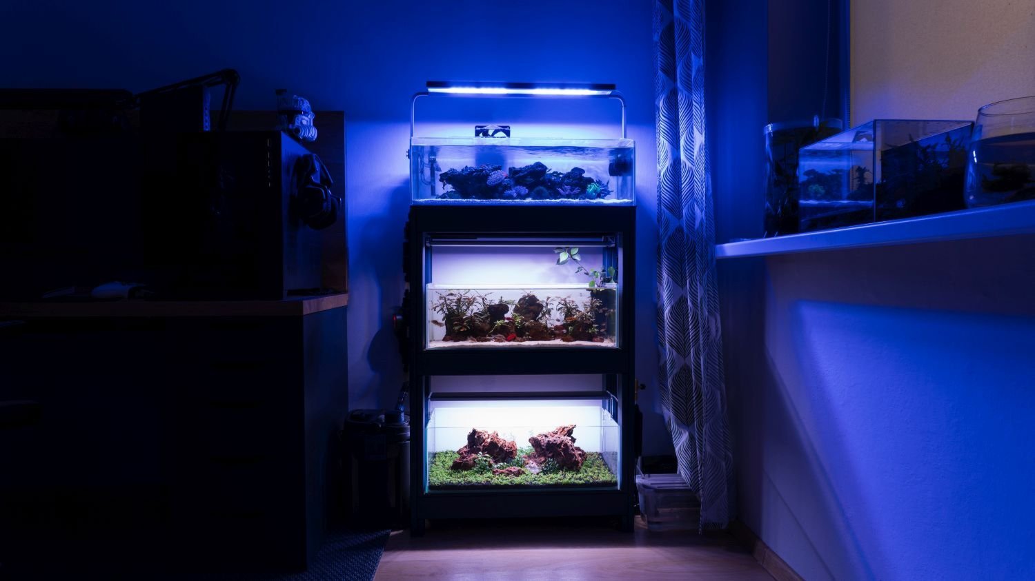 Curated visual reference: Canister Filter For Reef Aquarium Reference: How To Set Up A Canister Filter Reef Tank