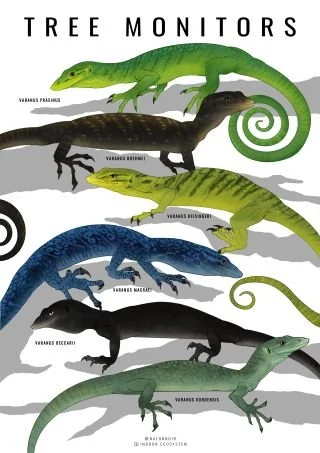 Tree Monitor Frame Tree Monitor Poster ā Indoor Ecosystem