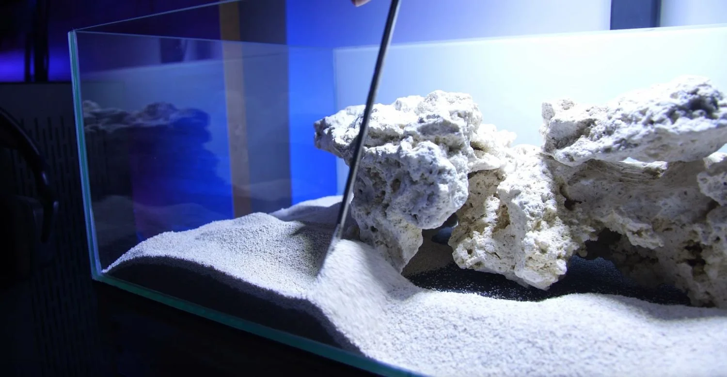 How To Set Up A Canister Filter Reef Tank Photo Inspiration