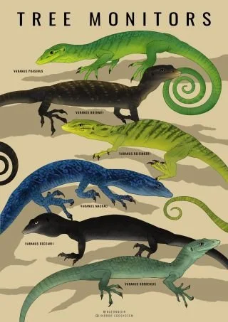 Tree Monitor Poster — Indoor Ecosystem