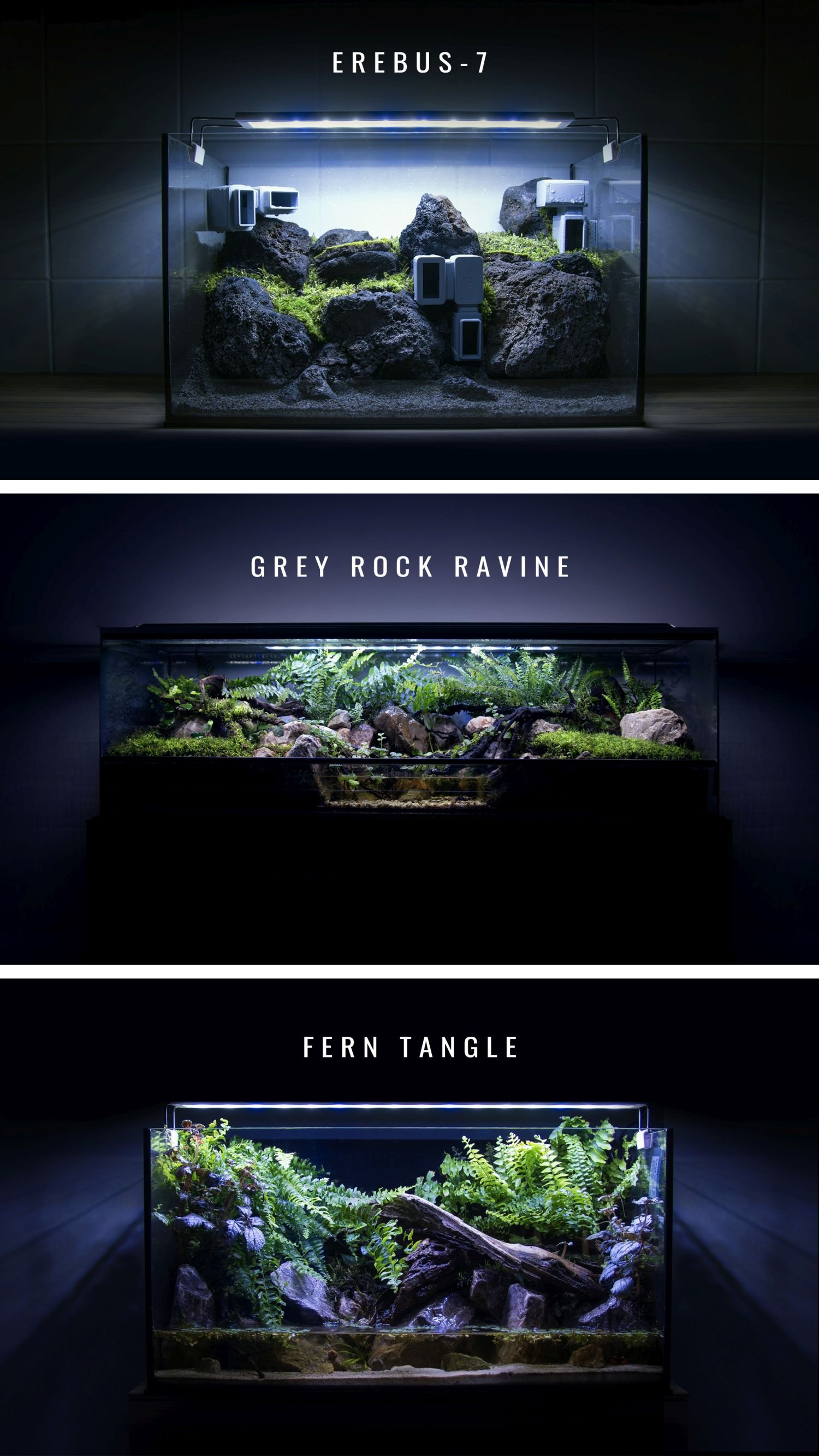 Geosesarma ecosystem guide video