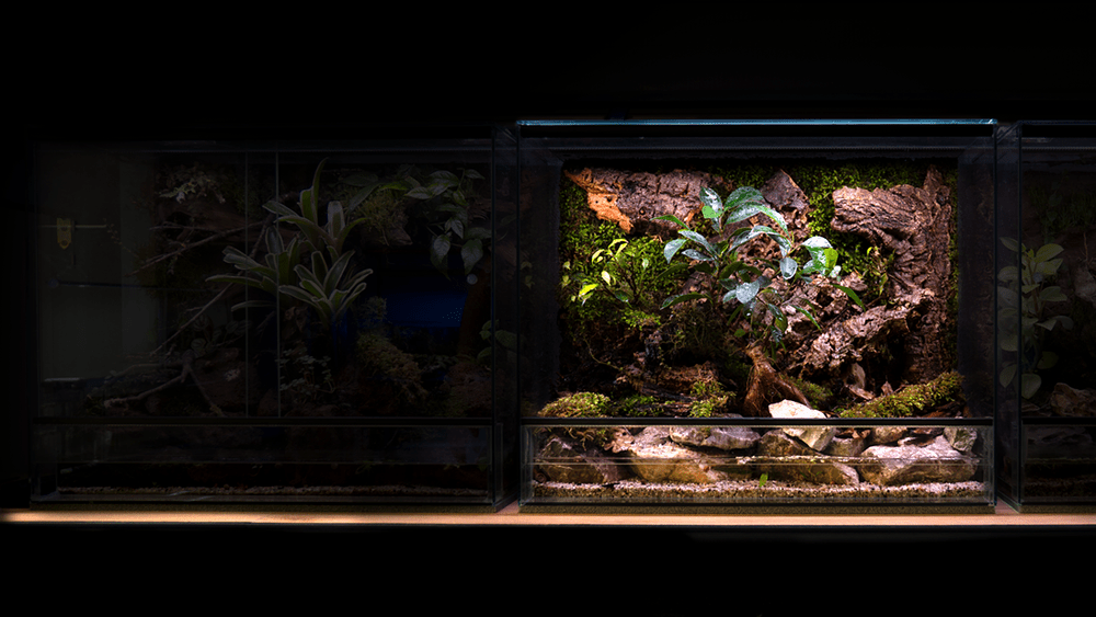 Indoor Ecosystem