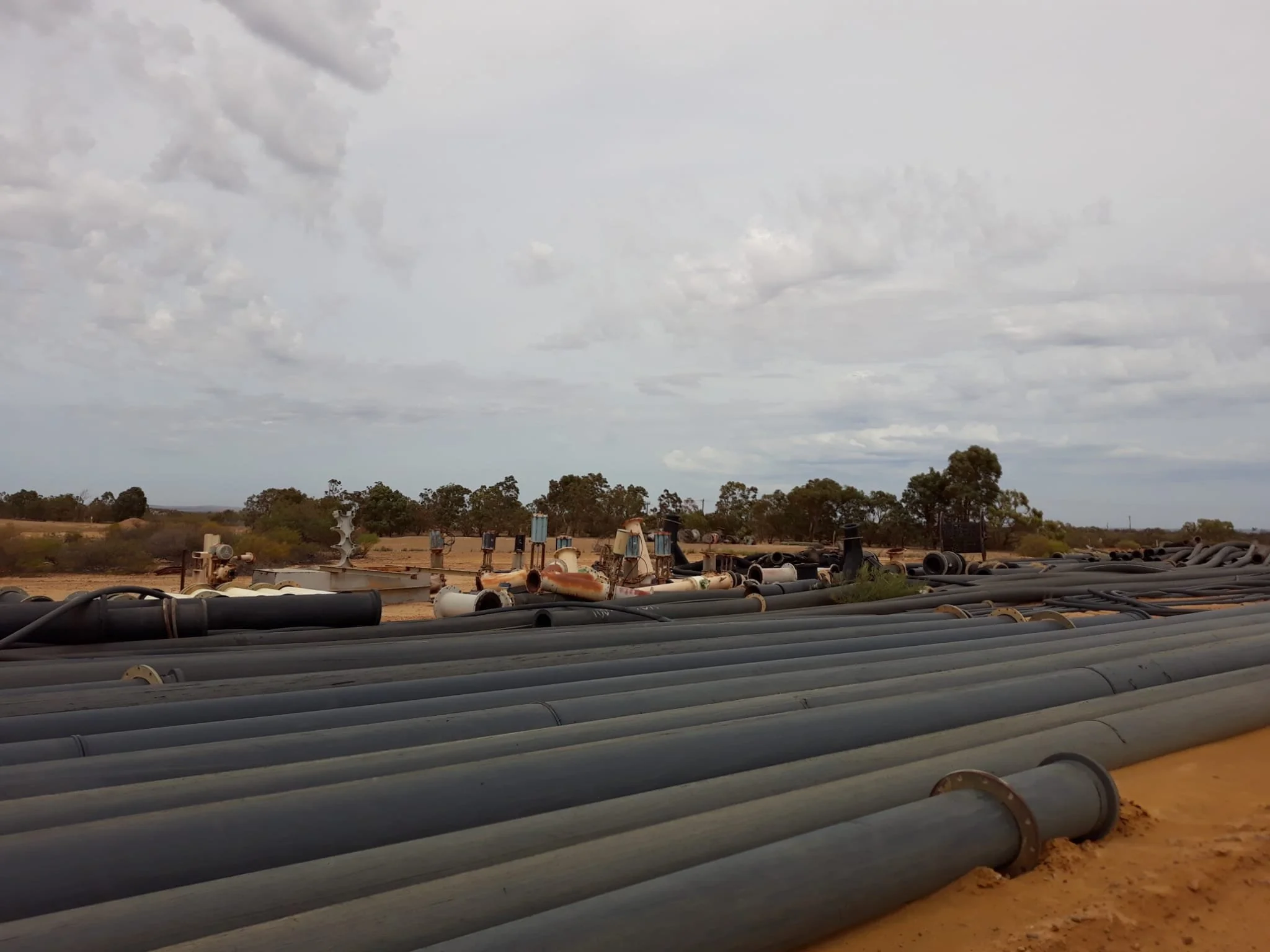 8b3cded1-bc71-40bb-a464-1eb7af463dbe.jfif