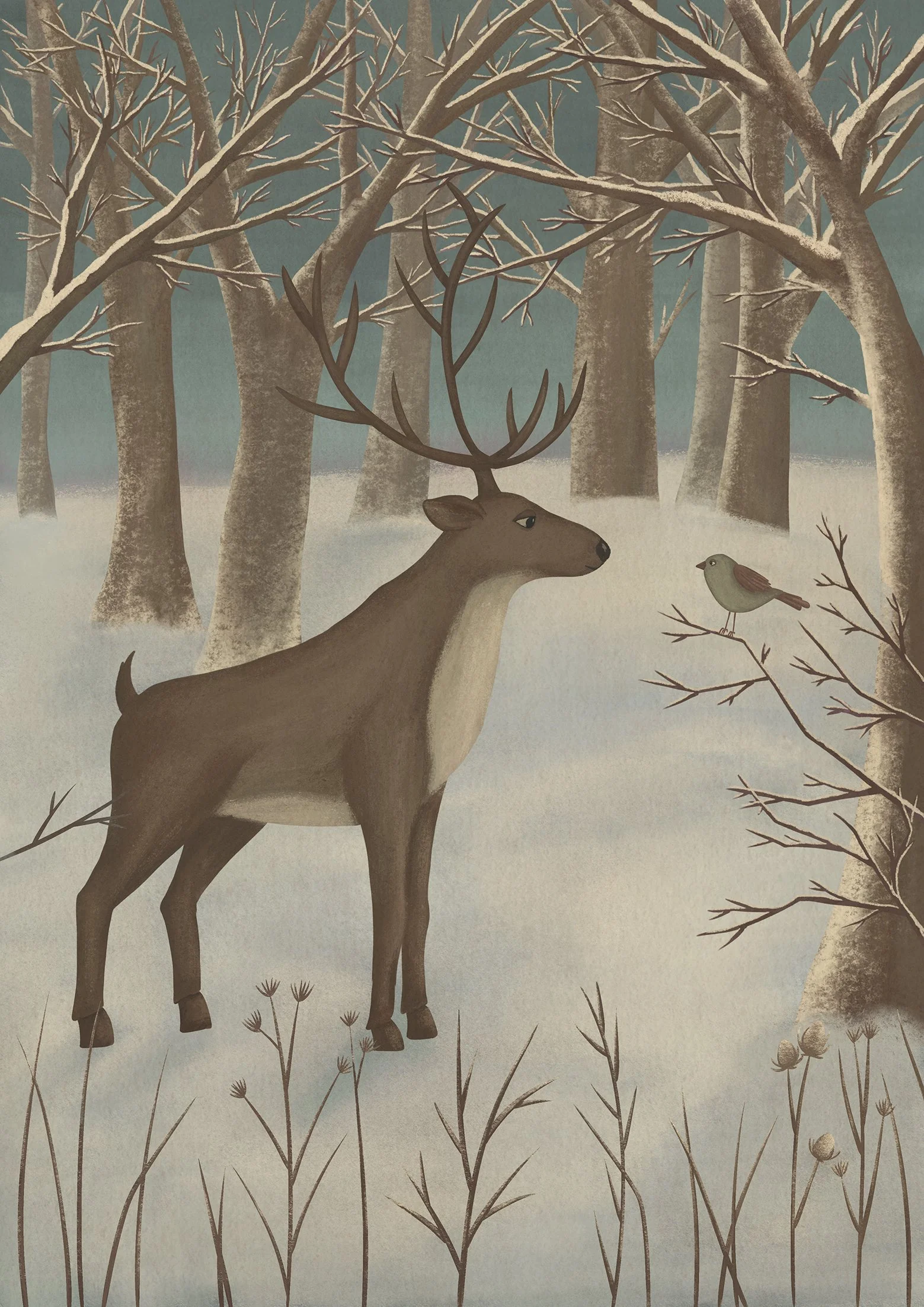 Winter Forest