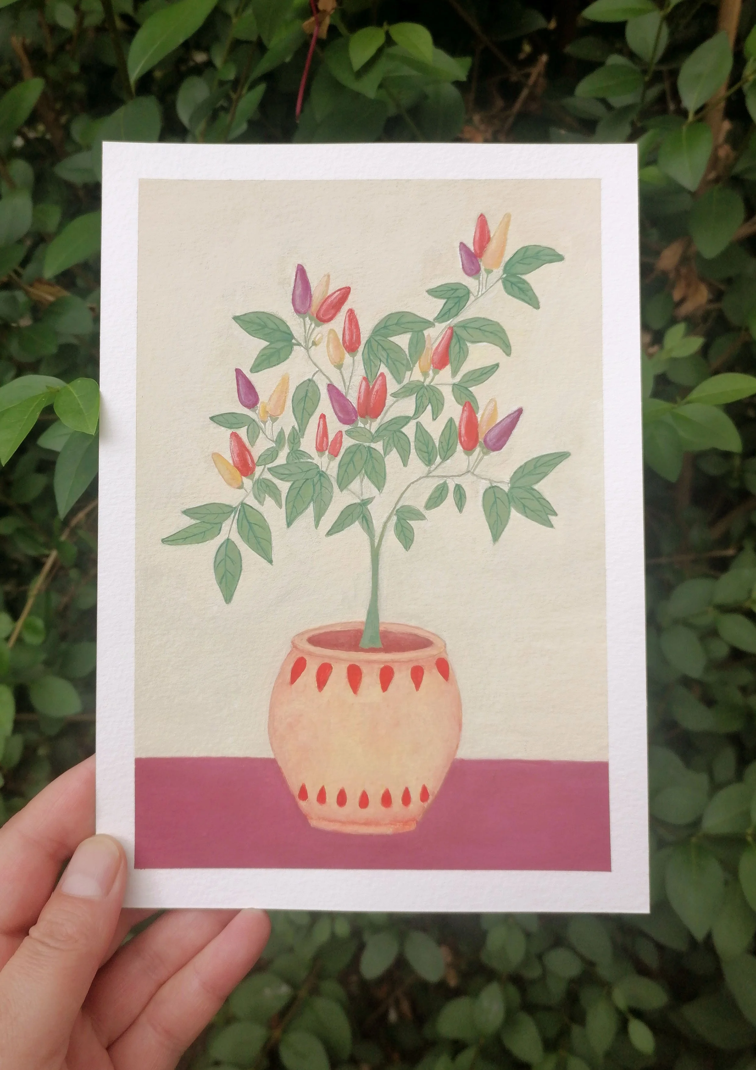 Gouache Illustration Chili Peppers