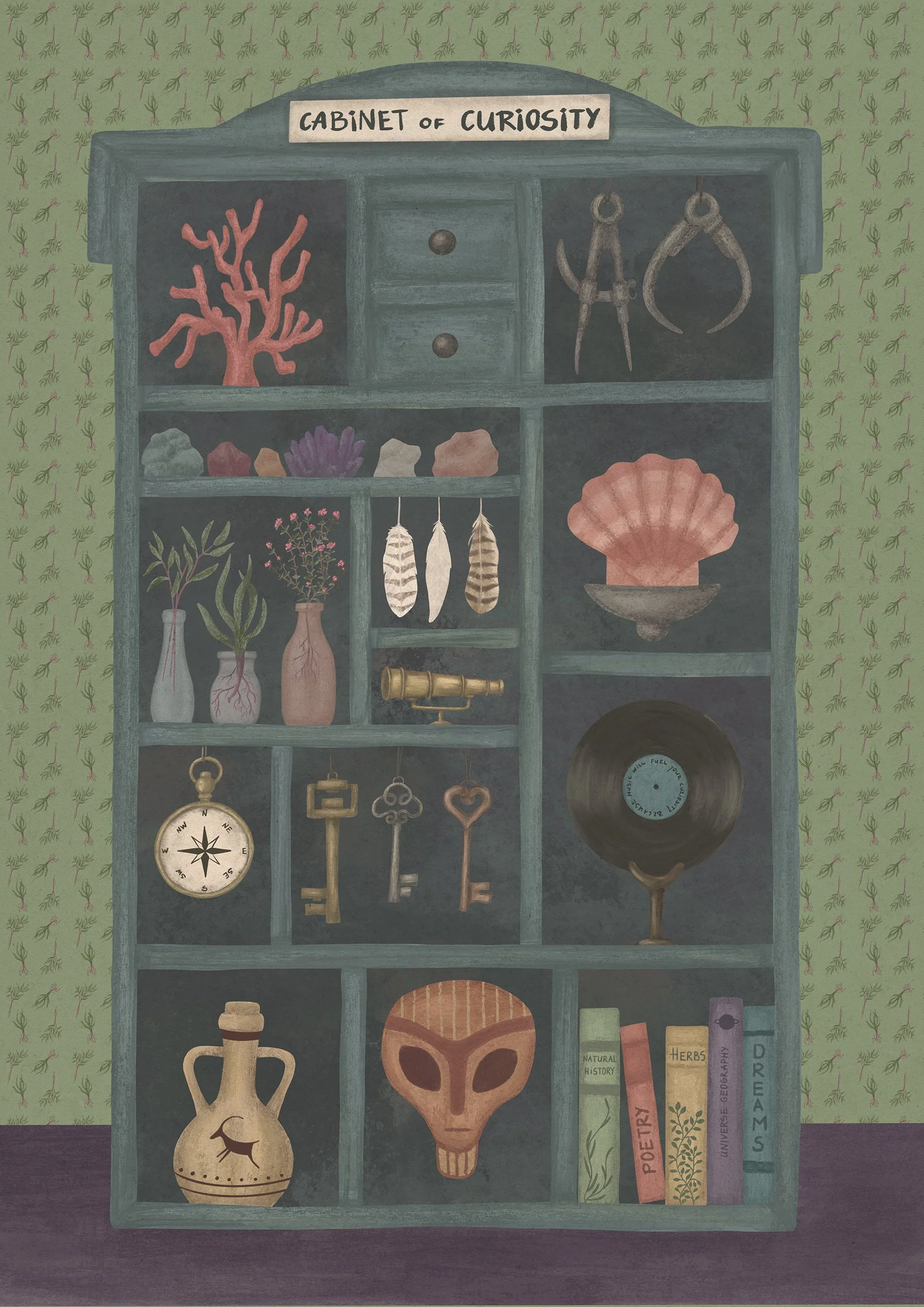 Cabinet of Curiosity