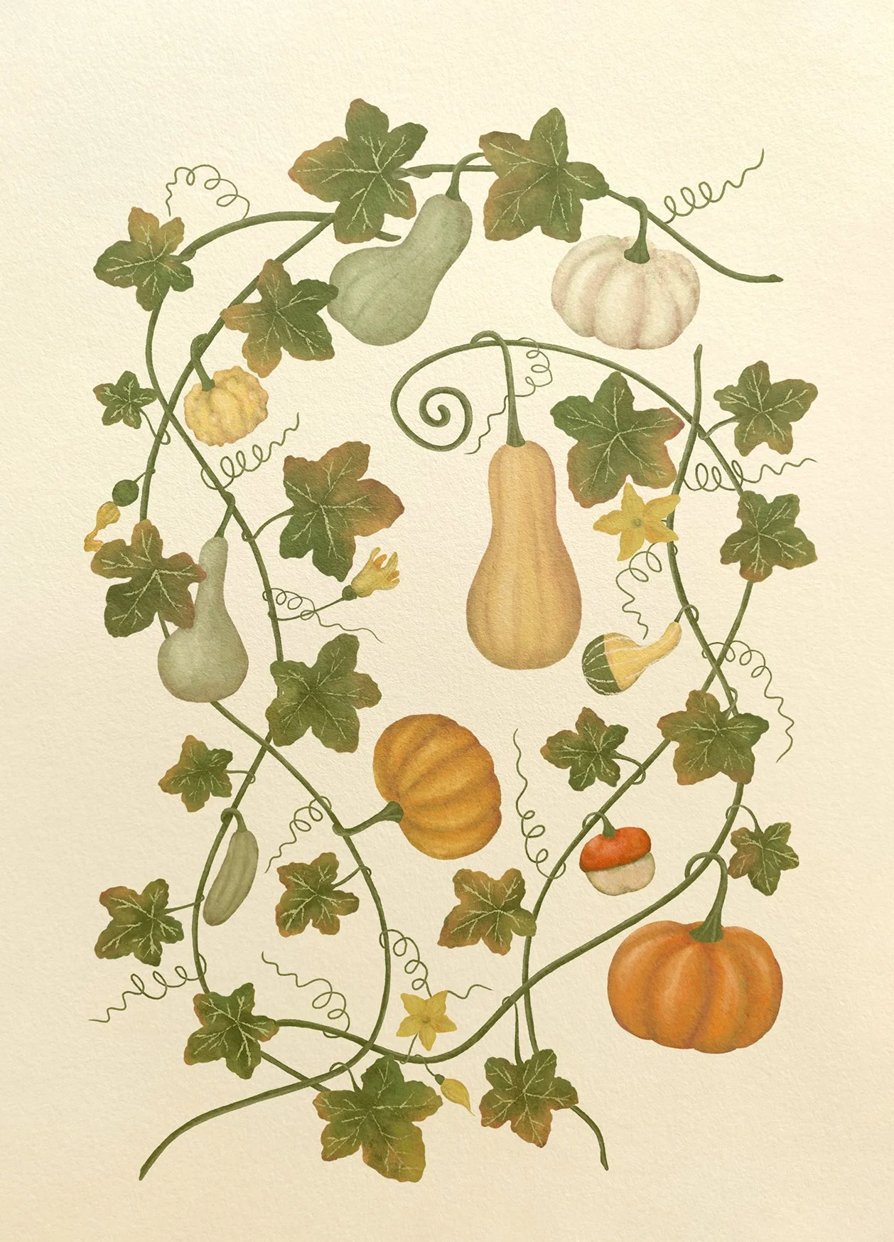 Pumpkins and Gourds