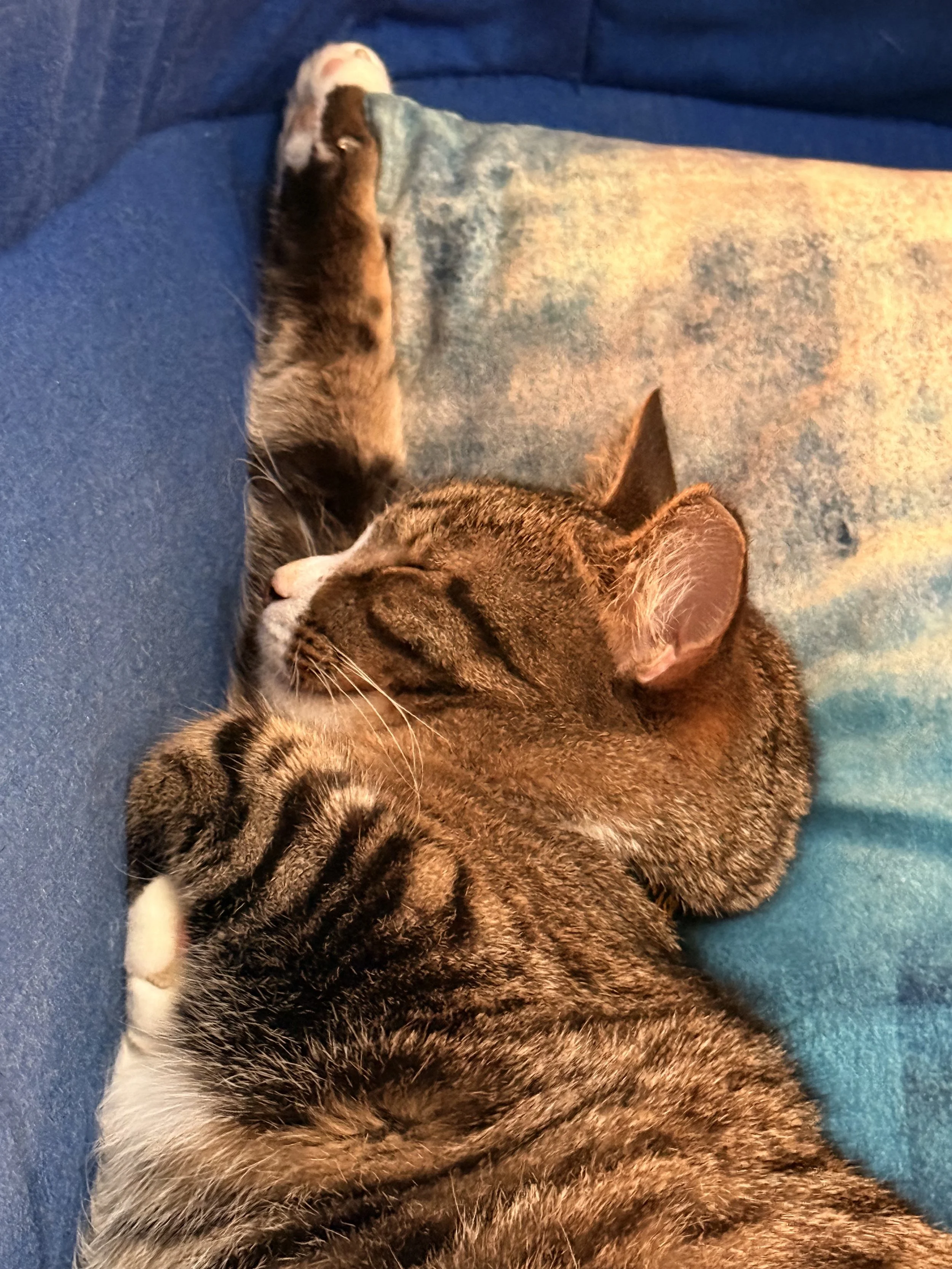 Catching Up, Slowing Down