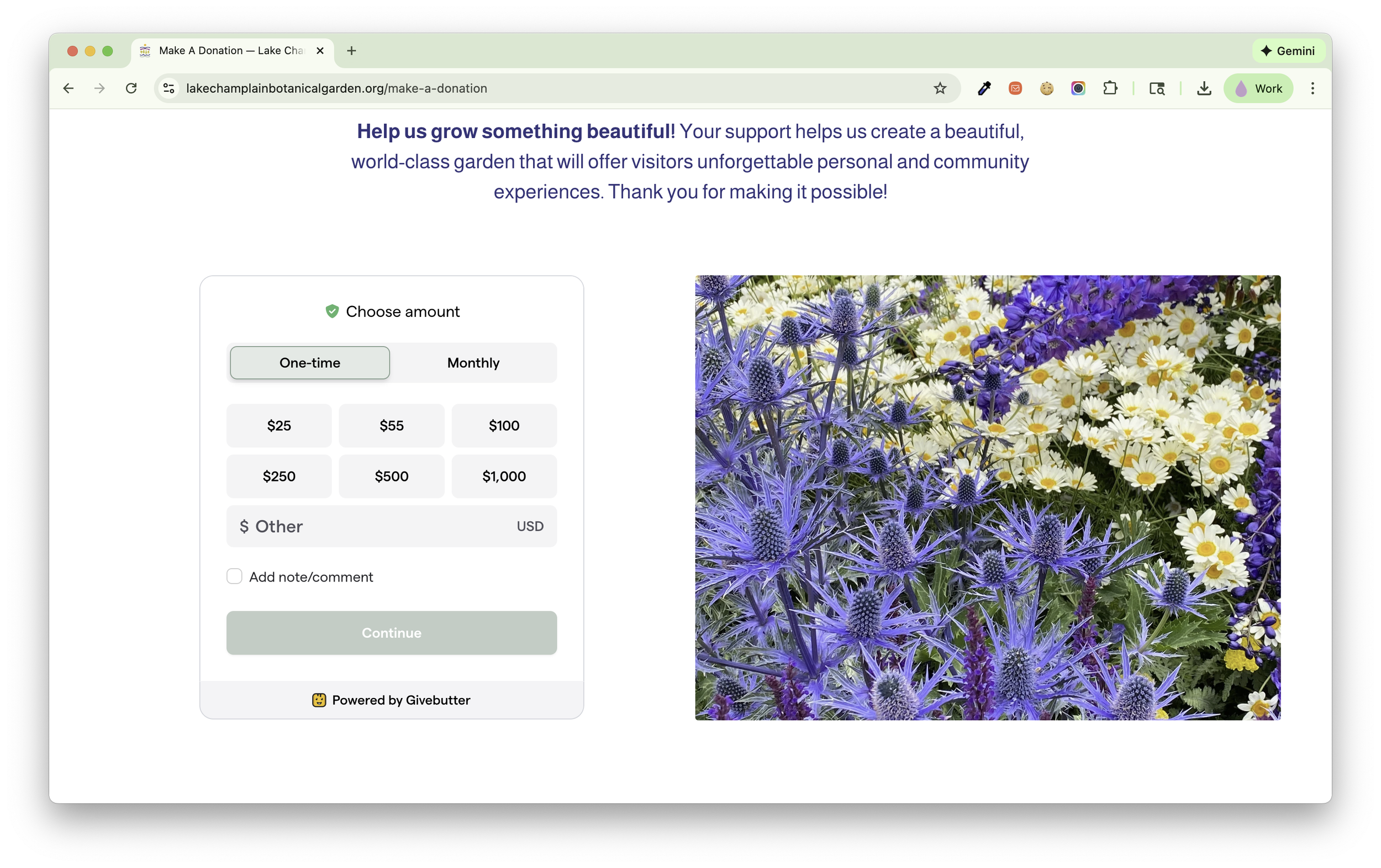 Make a donation page