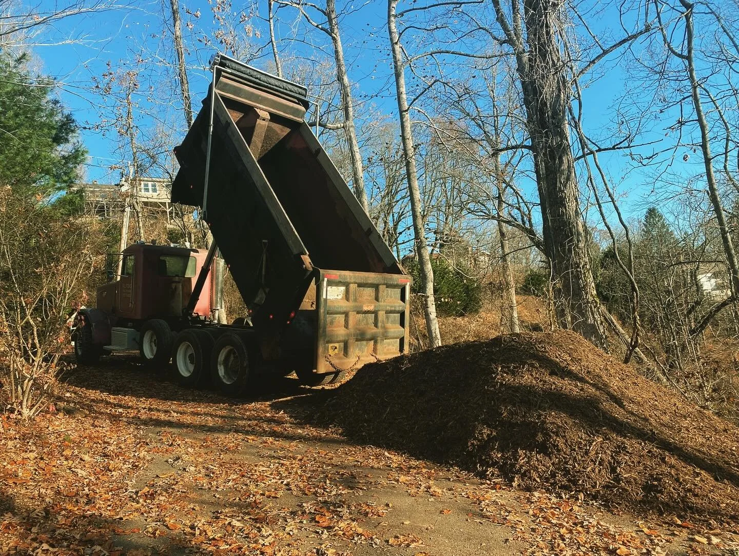 Couple photos of my dumps today