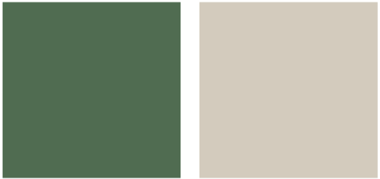 Two sections of the image, one with a green background and the other with a light beige background, separated by a black border.
