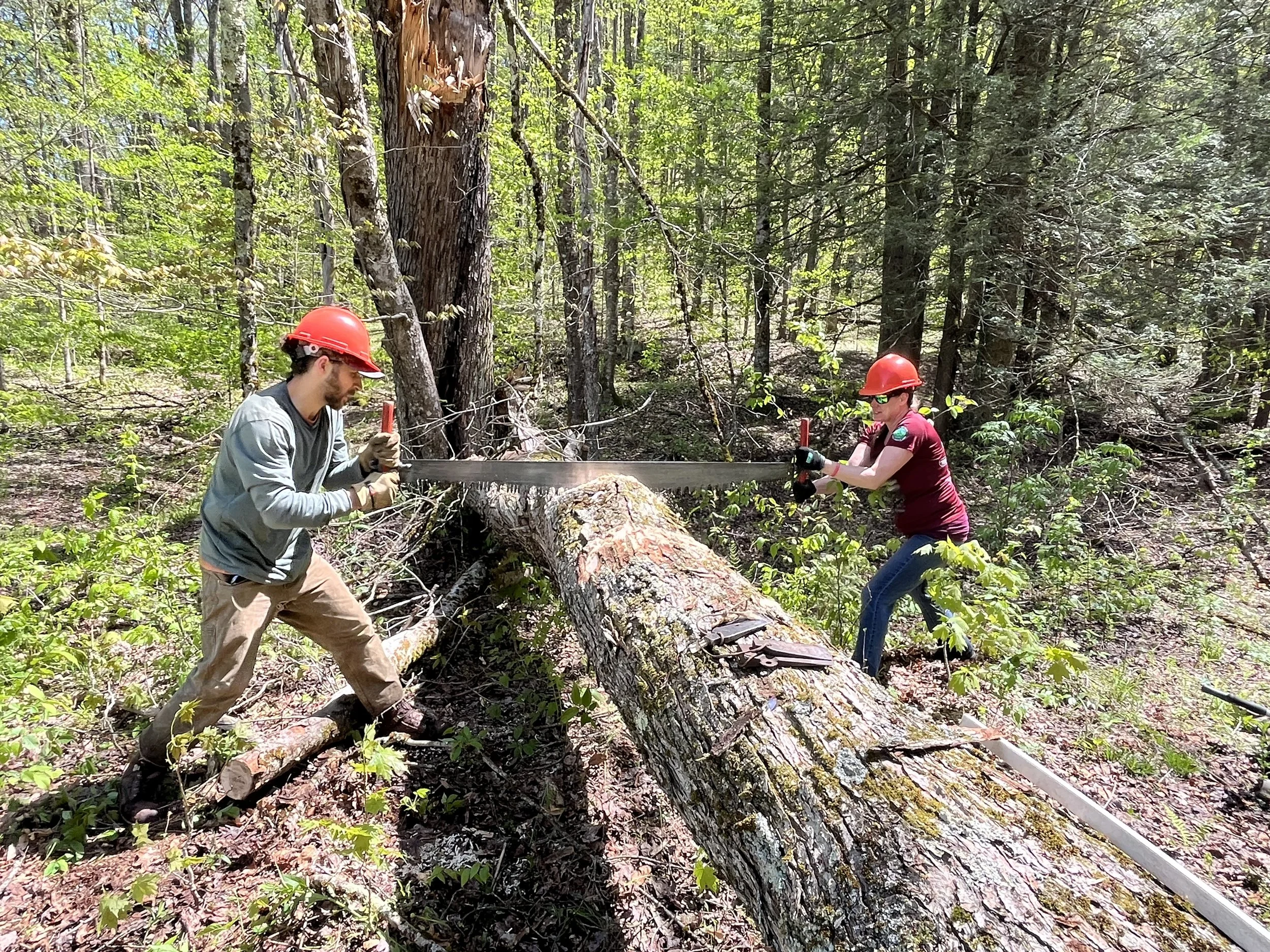 Middle Mountain Work Week