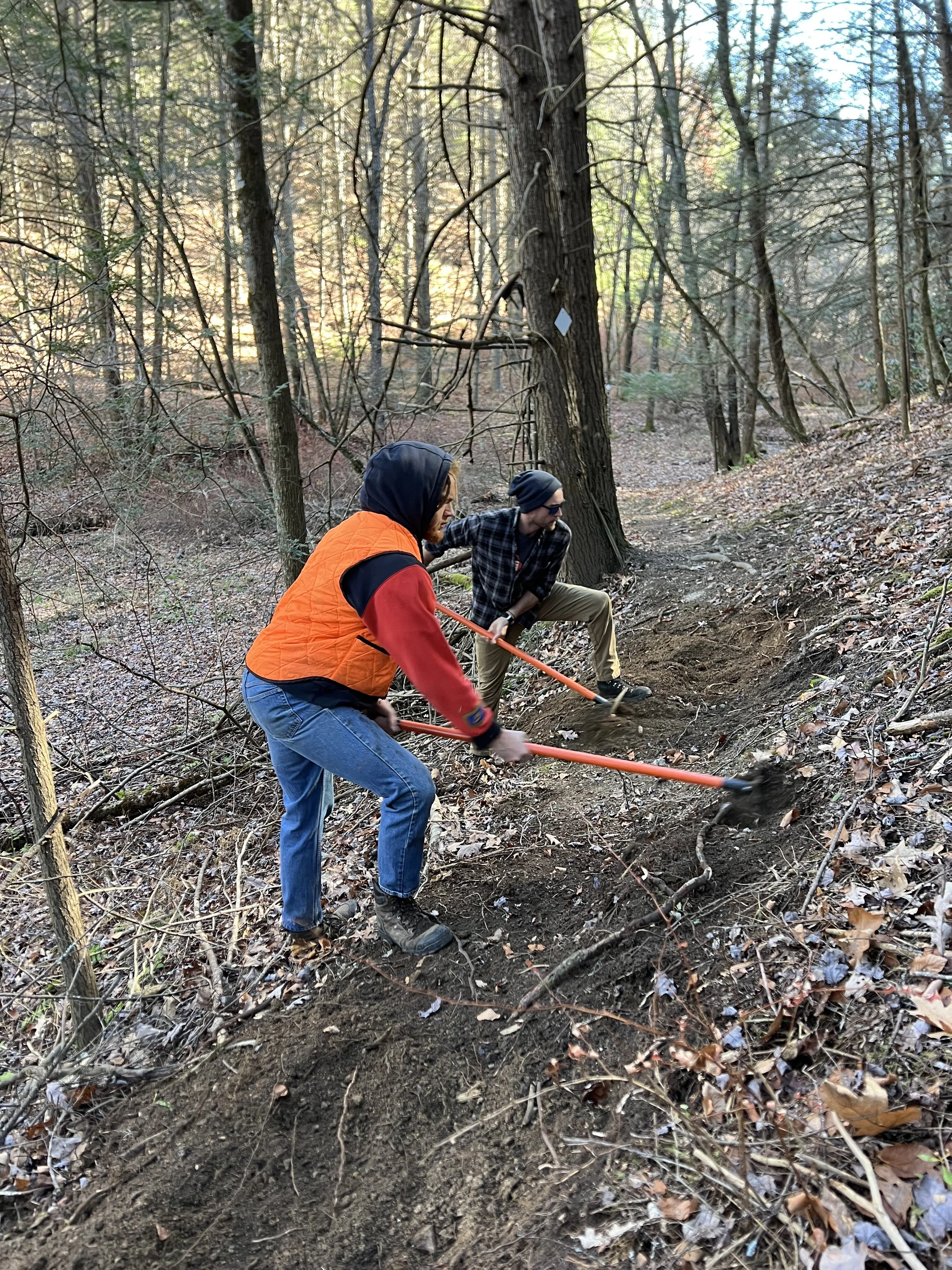 Two people clearing a trail in a forest using tools, wearing outdoor clothing and gloves.
