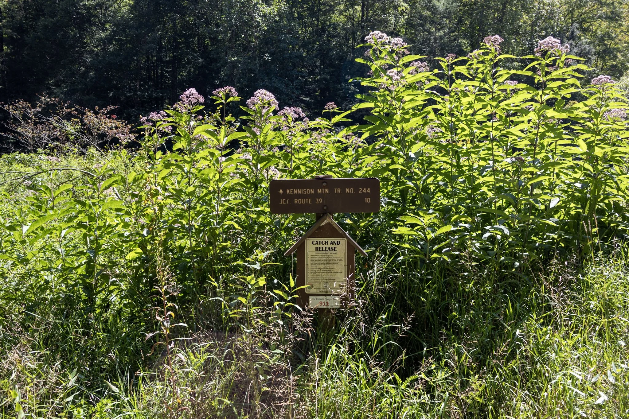 Trail Crew Update