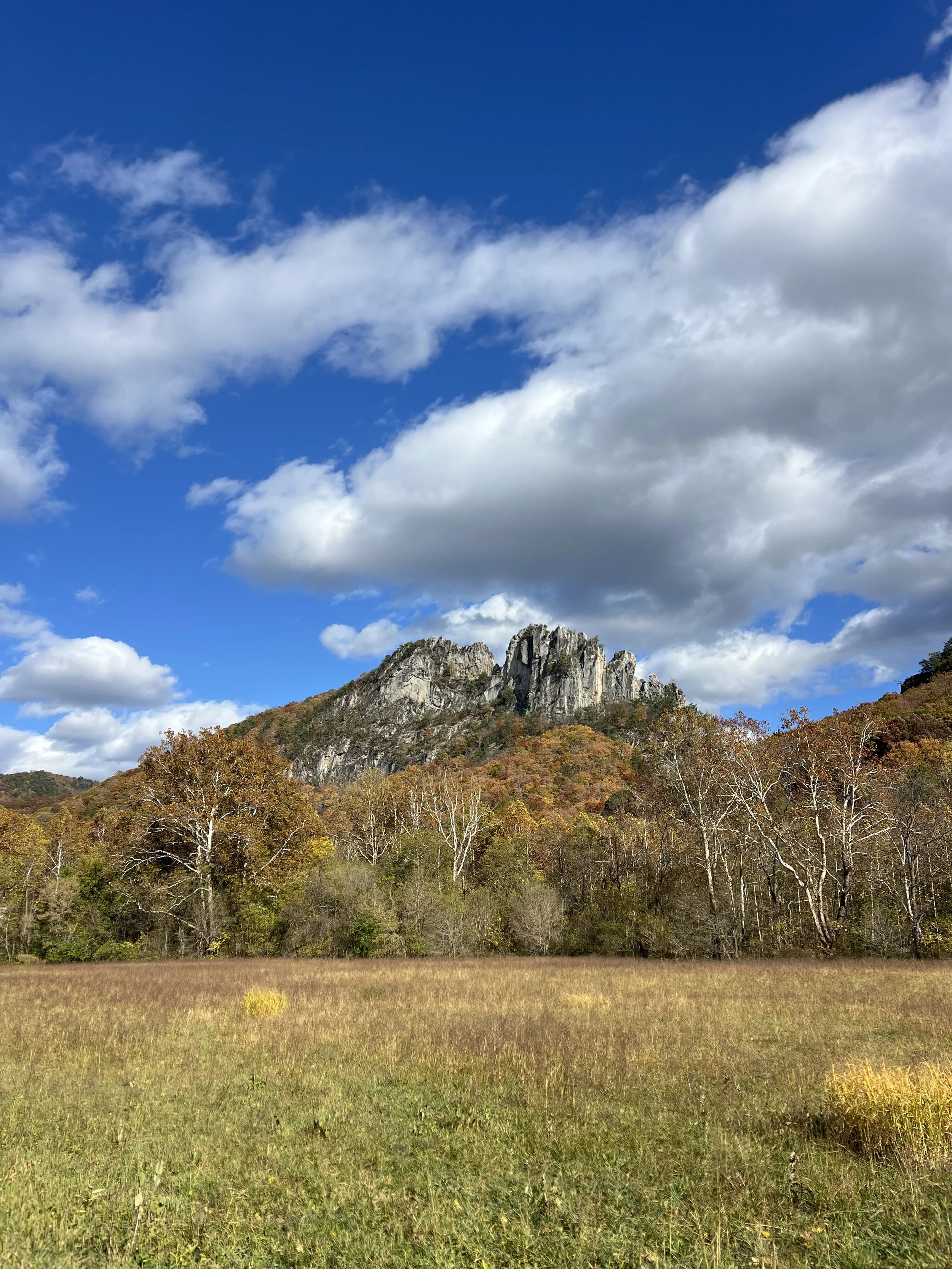 A mountain with rocky peaks rising above a forest with autumn-colored trees, under a blue sky with scattered white clouds.