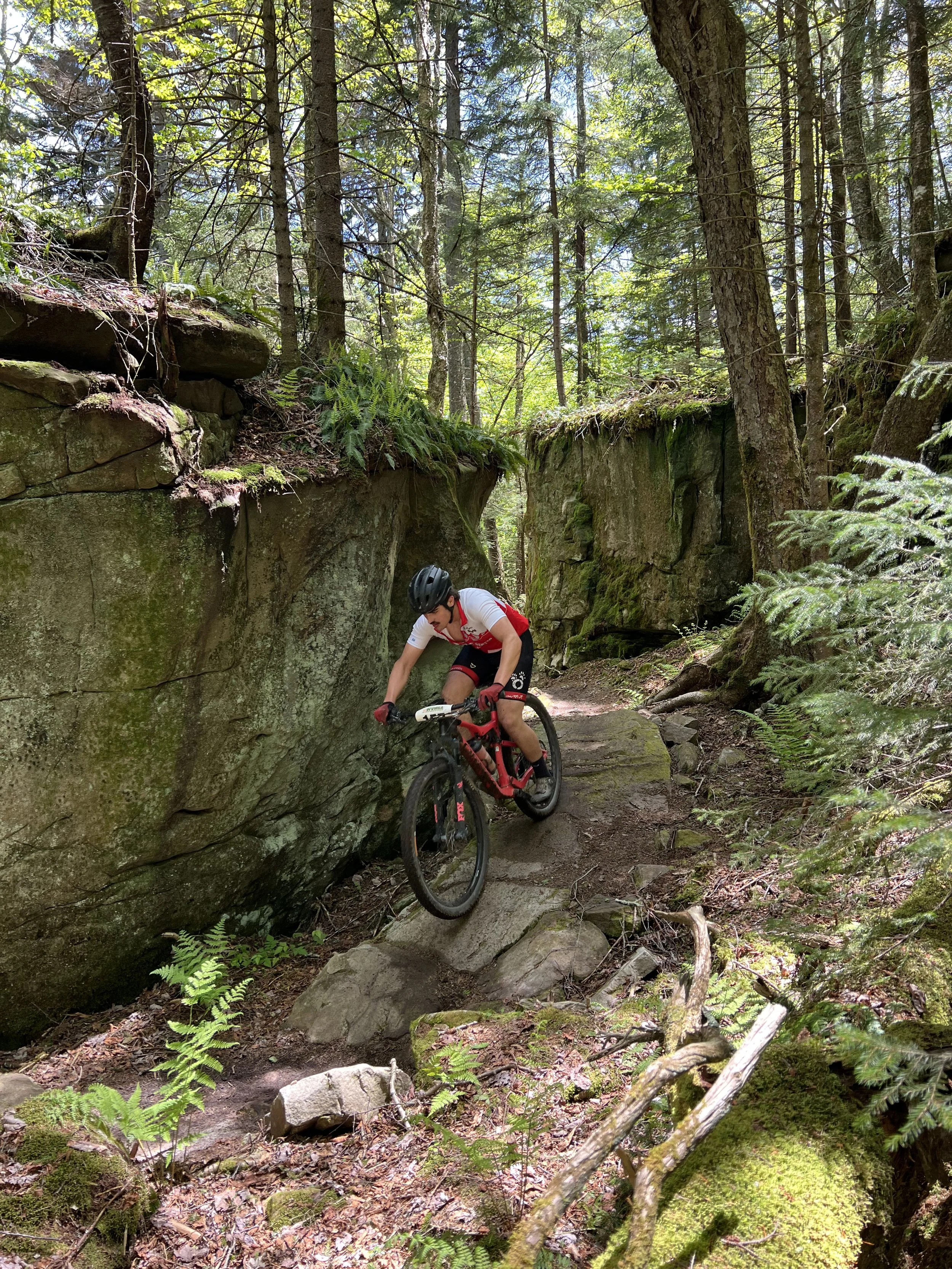 A person mountain biking on a rocky trail through a dense forest with tall trees and green foliage.