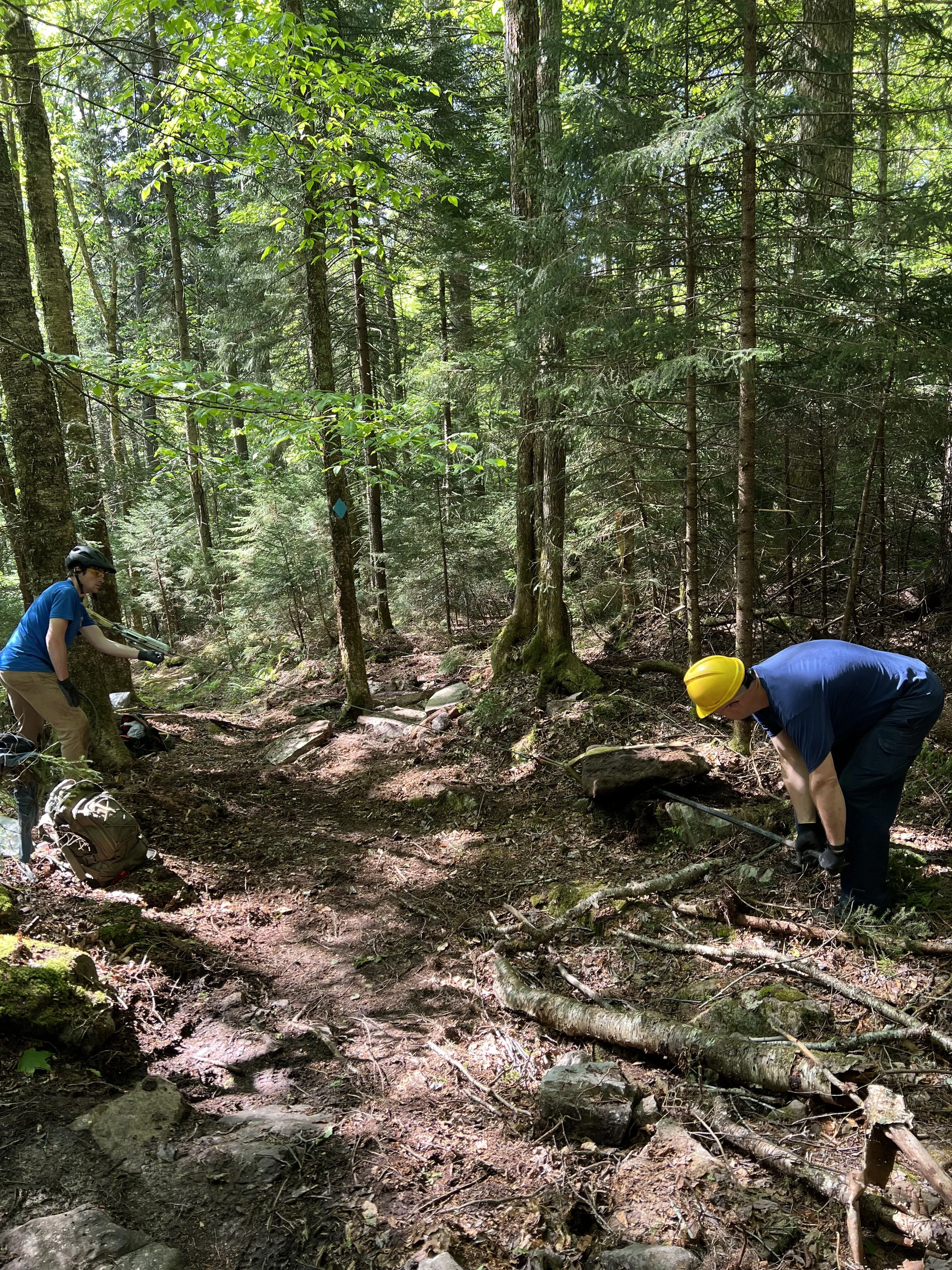 Two people in a forest clearing, one wearing a yellow helmet and the other with a helmet and gloves, working on clearing a trail with tools amid trees and rocks.