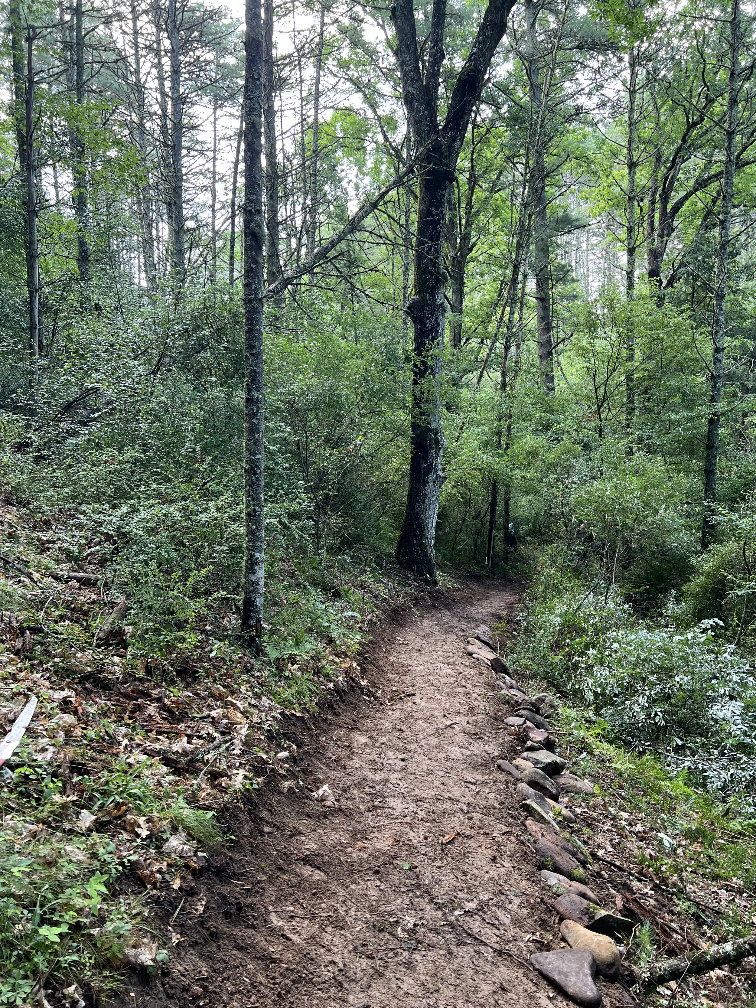 Freshly completed treadwork 