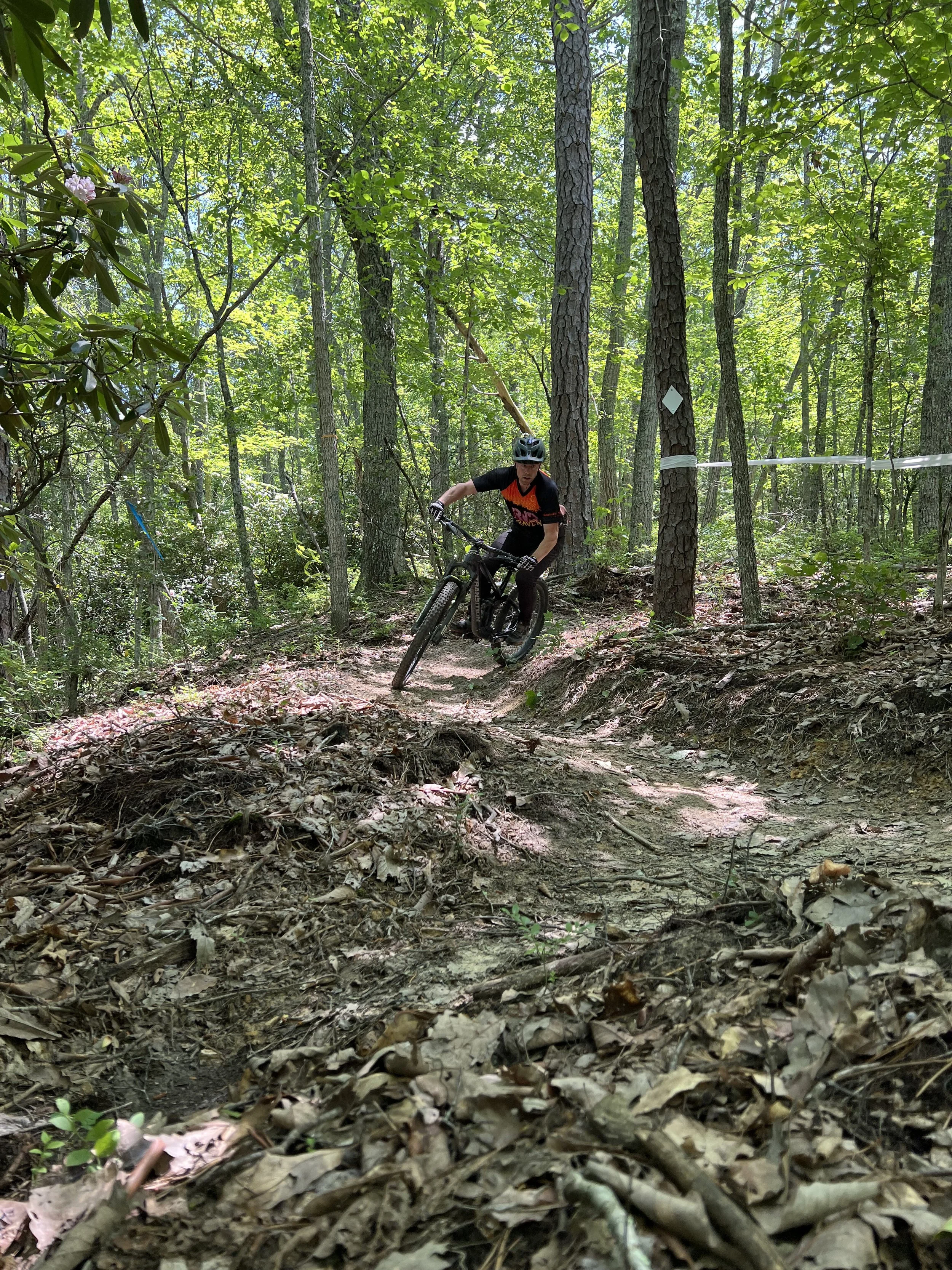 A mountain biker in a black helmet and black and orange shirt riding on a trail through a green forest with tall trees.
